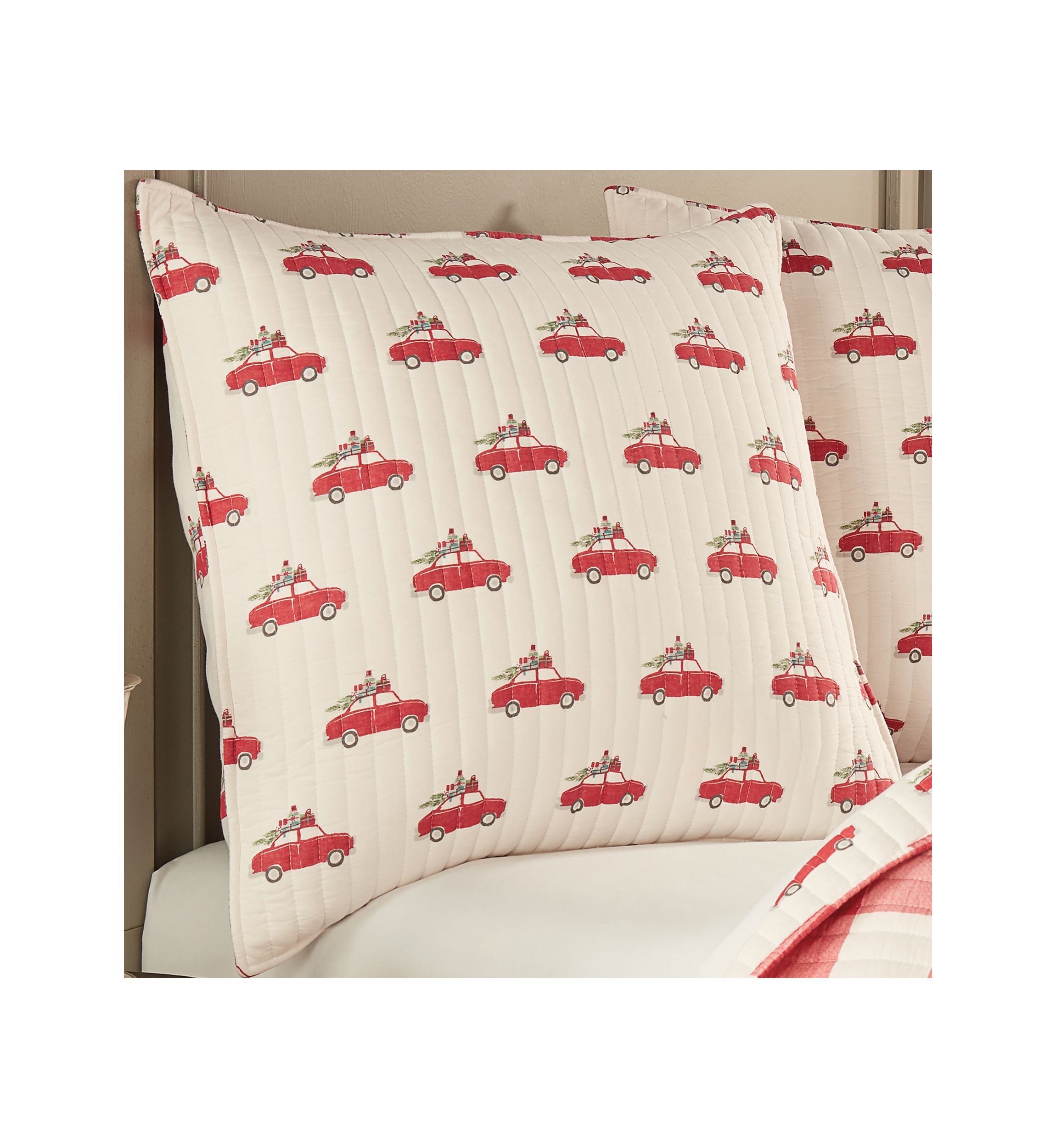 Road Trip Euro Sham Set of 2