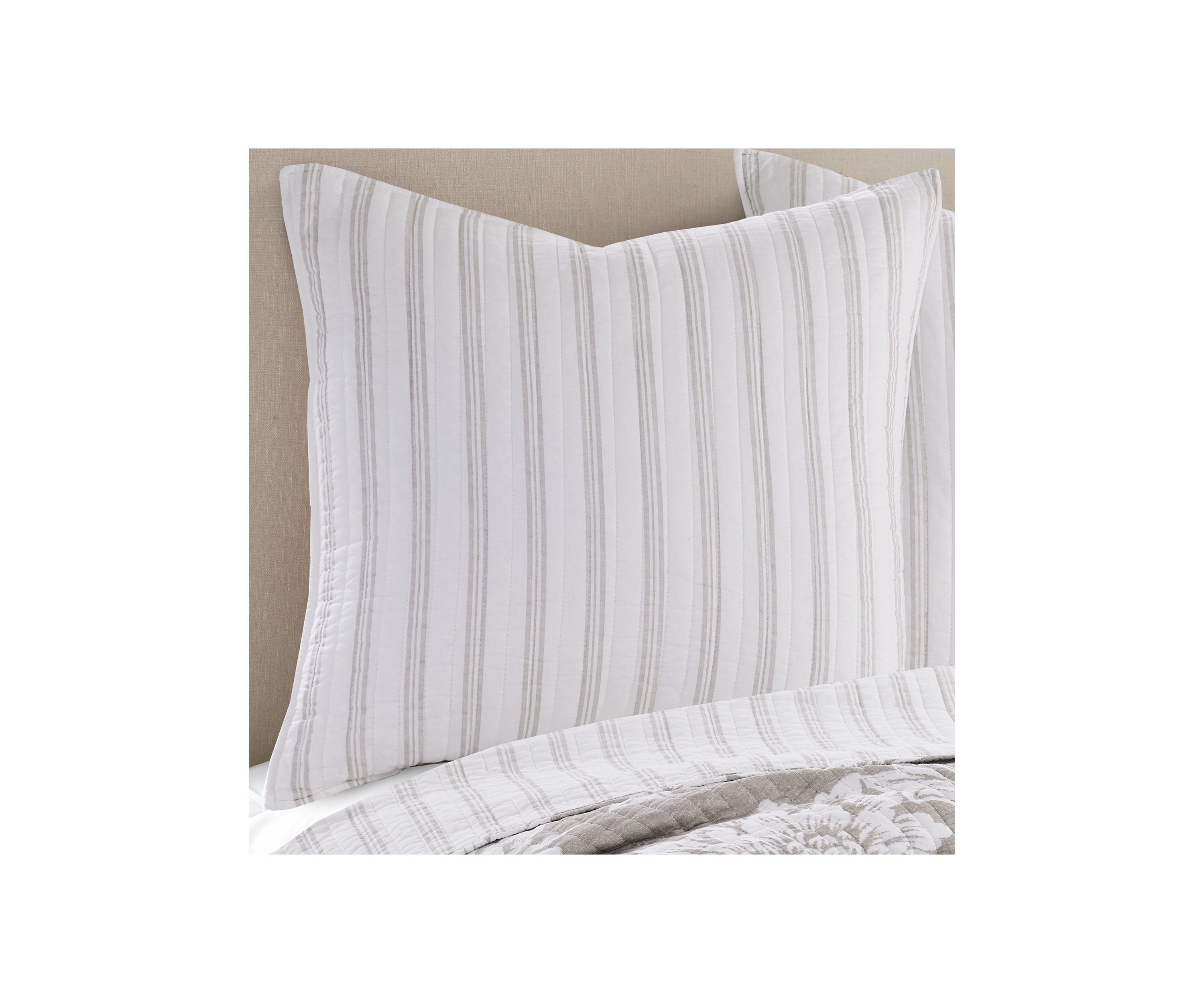 Sanira Taupe Euro Sham Set of 2