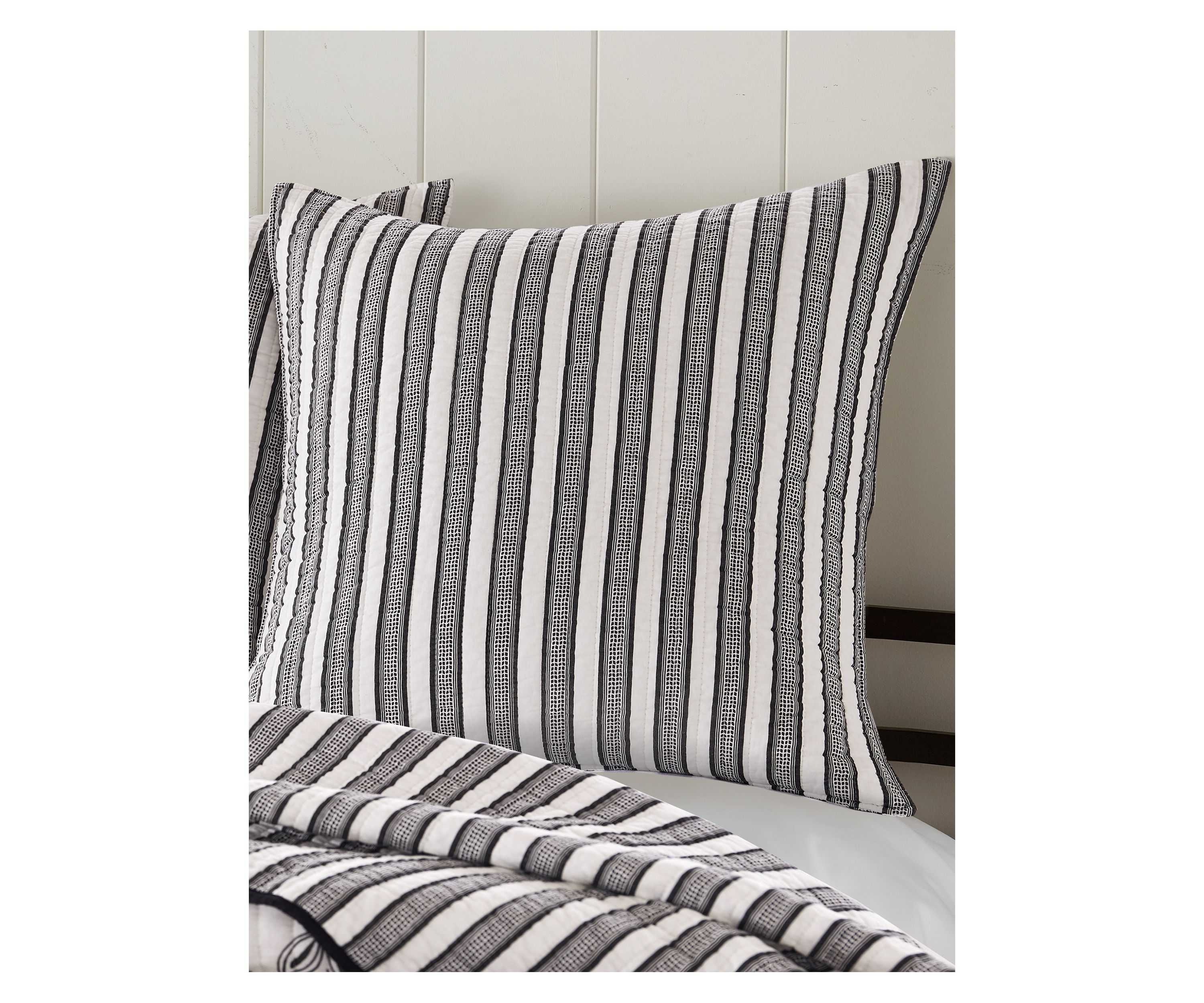 Tanzie Black Euro Sham Set of 2