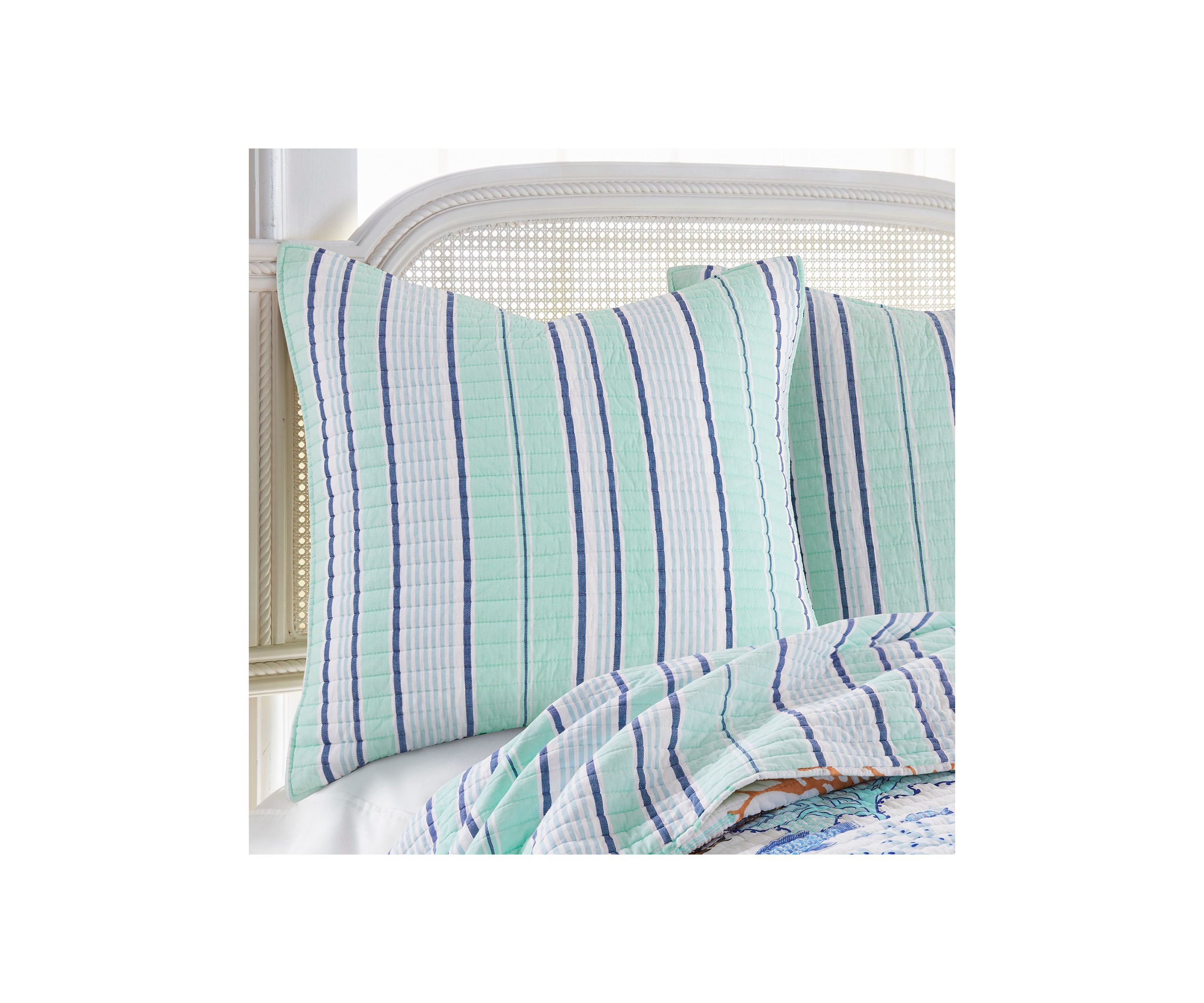 Deep Sea Multicolor Euro Shams - 2 Pack 