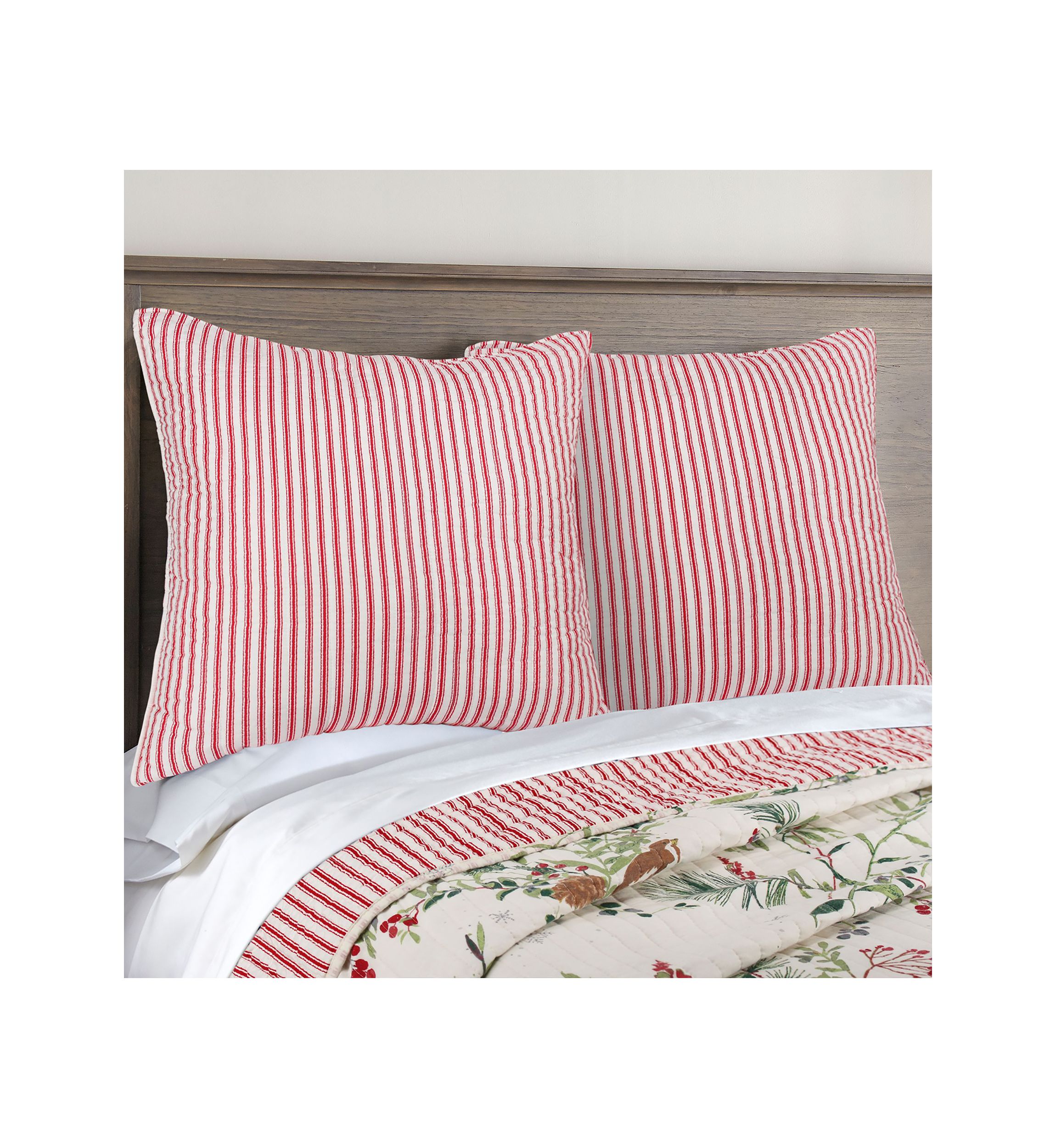 Winterberry Forest Euro Sham Set of 2