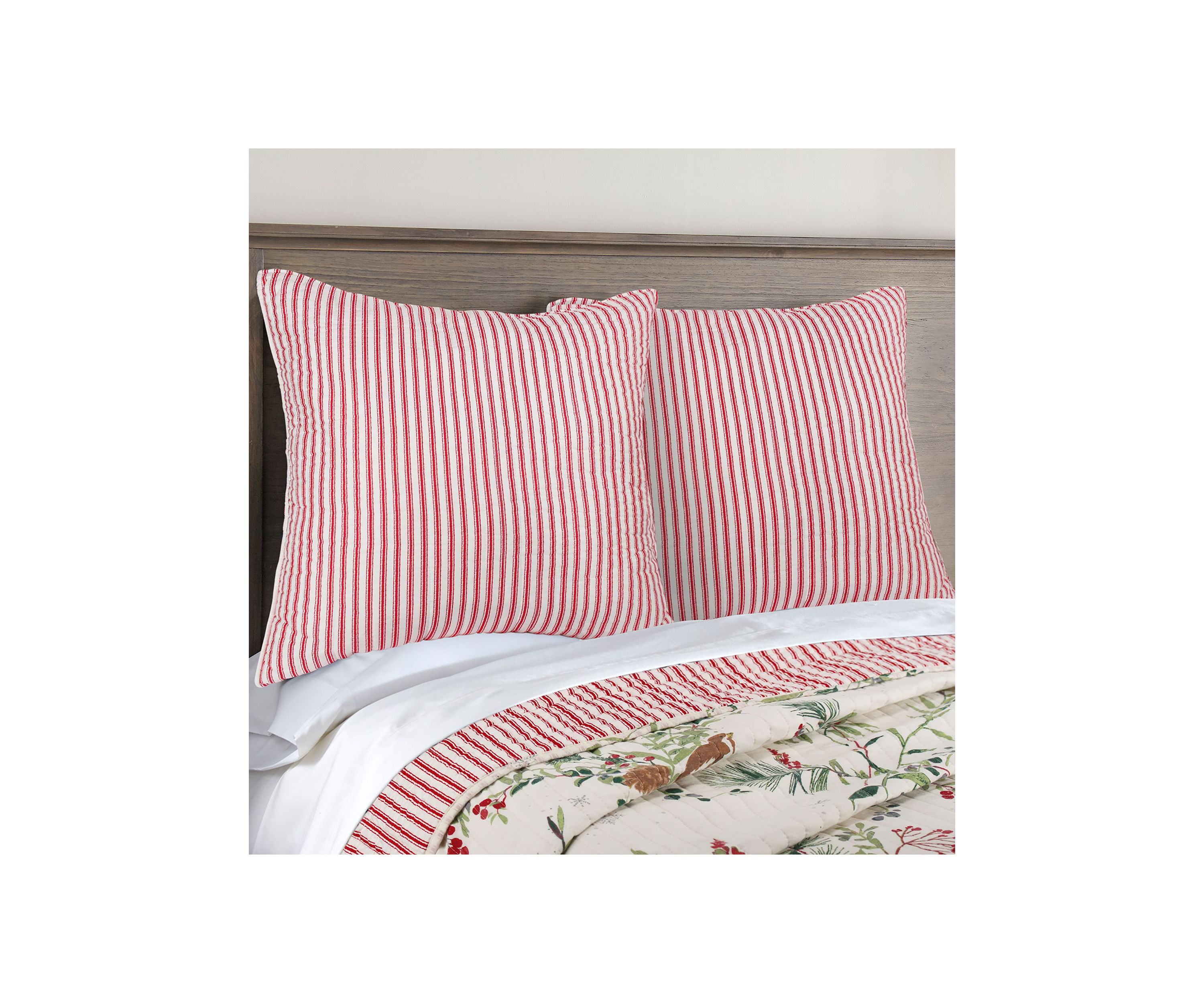 Winterberry Forest Euro Sham Set of 2