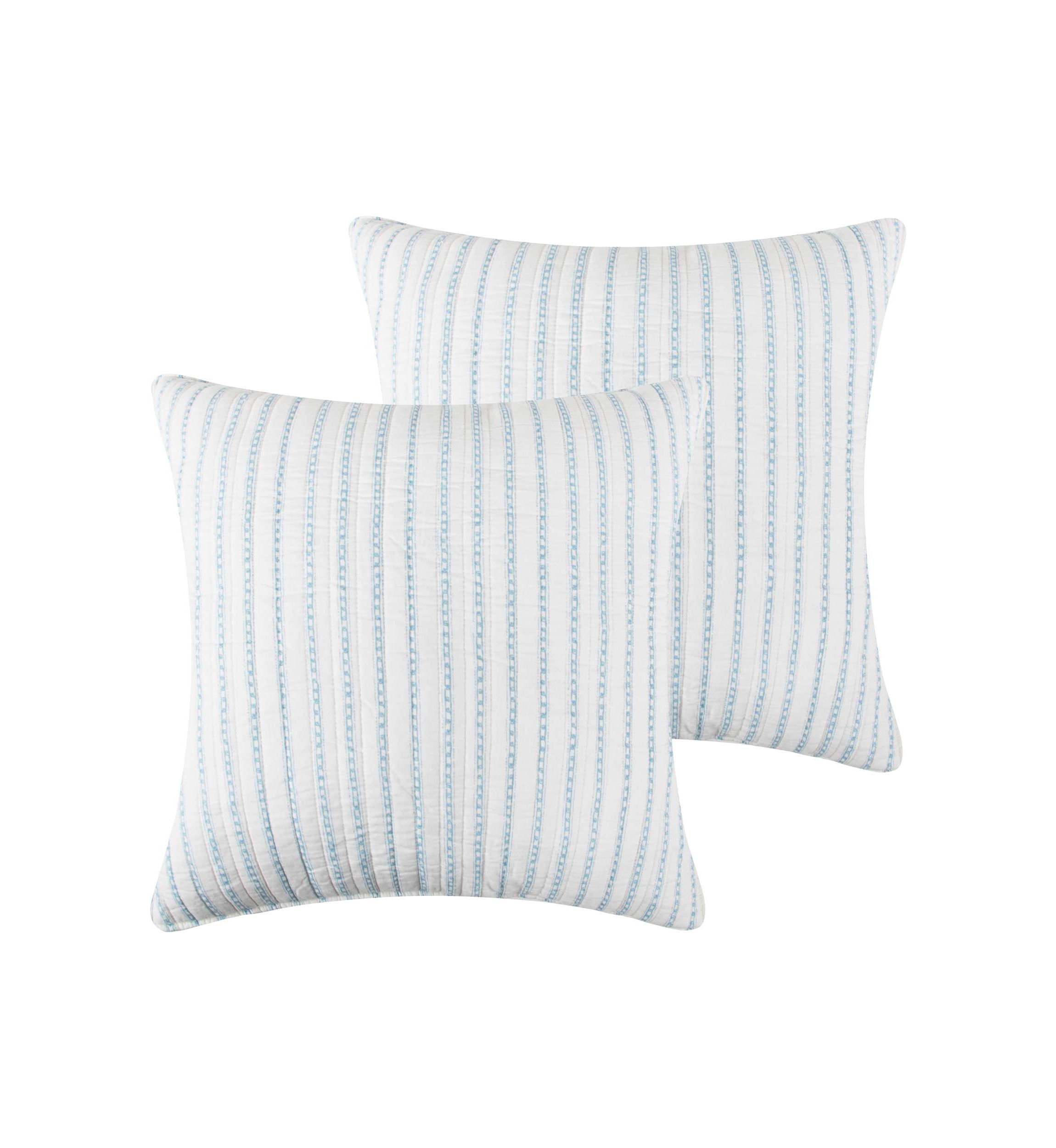 Chantae Euro Sham Set of 2