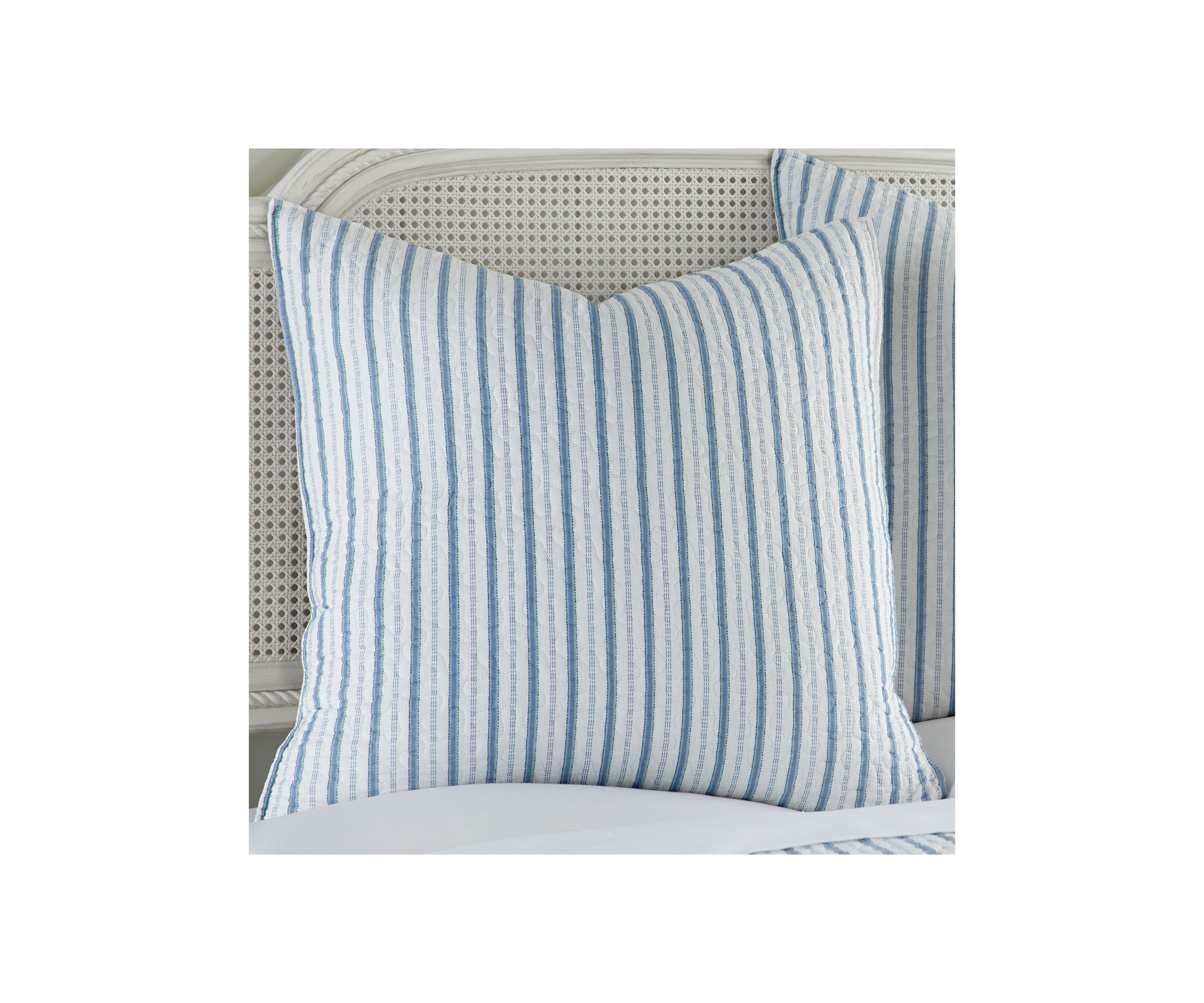 Galapagos Euro Sham Set of 2