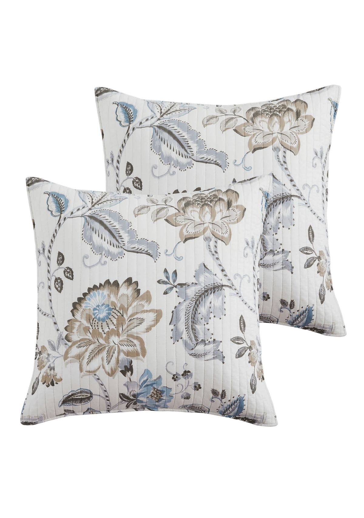 Malaney Neutral Blue Euro Sham Set of 2