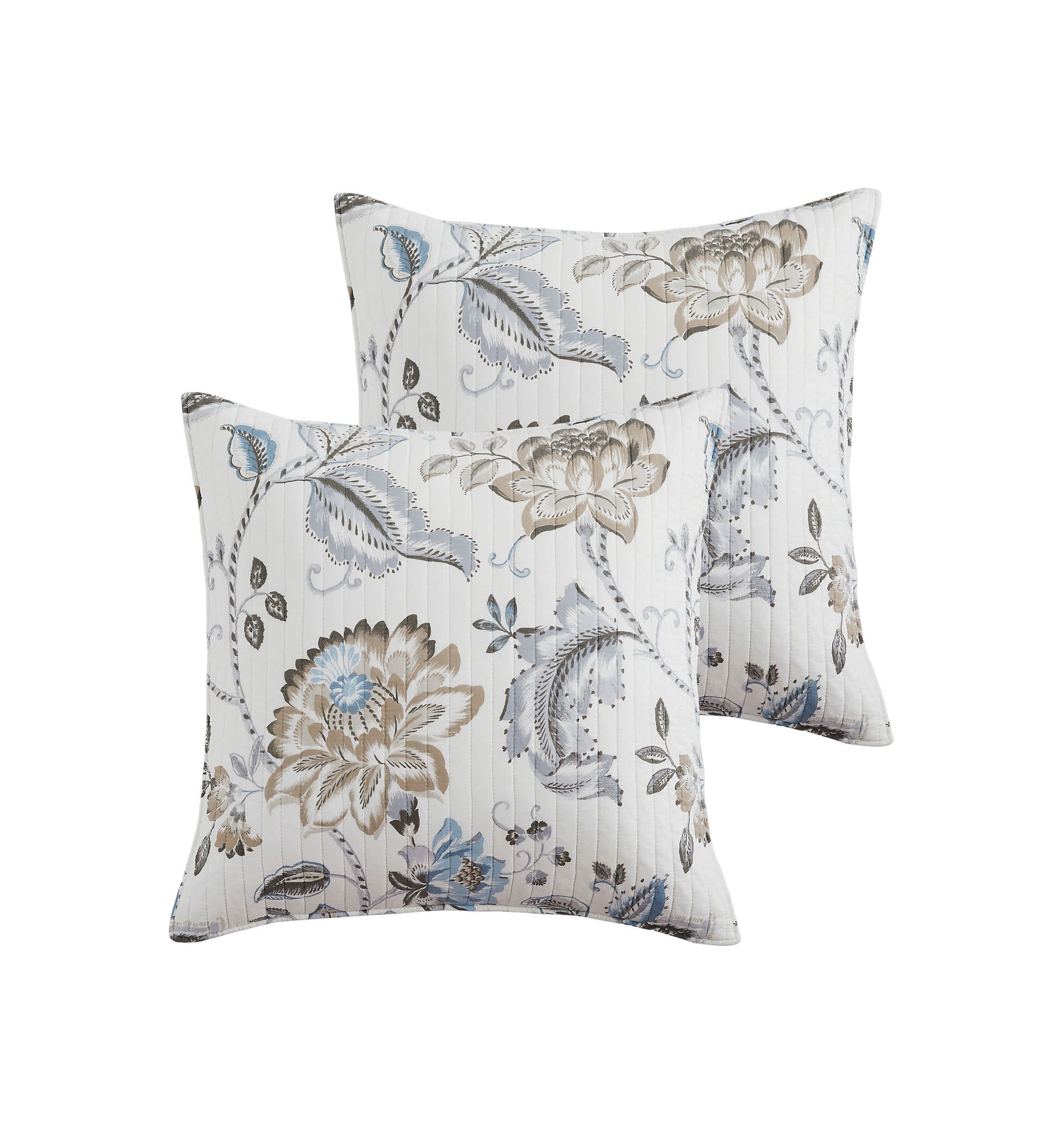 Malaney Neutral Blue Euro Sham Set of 2