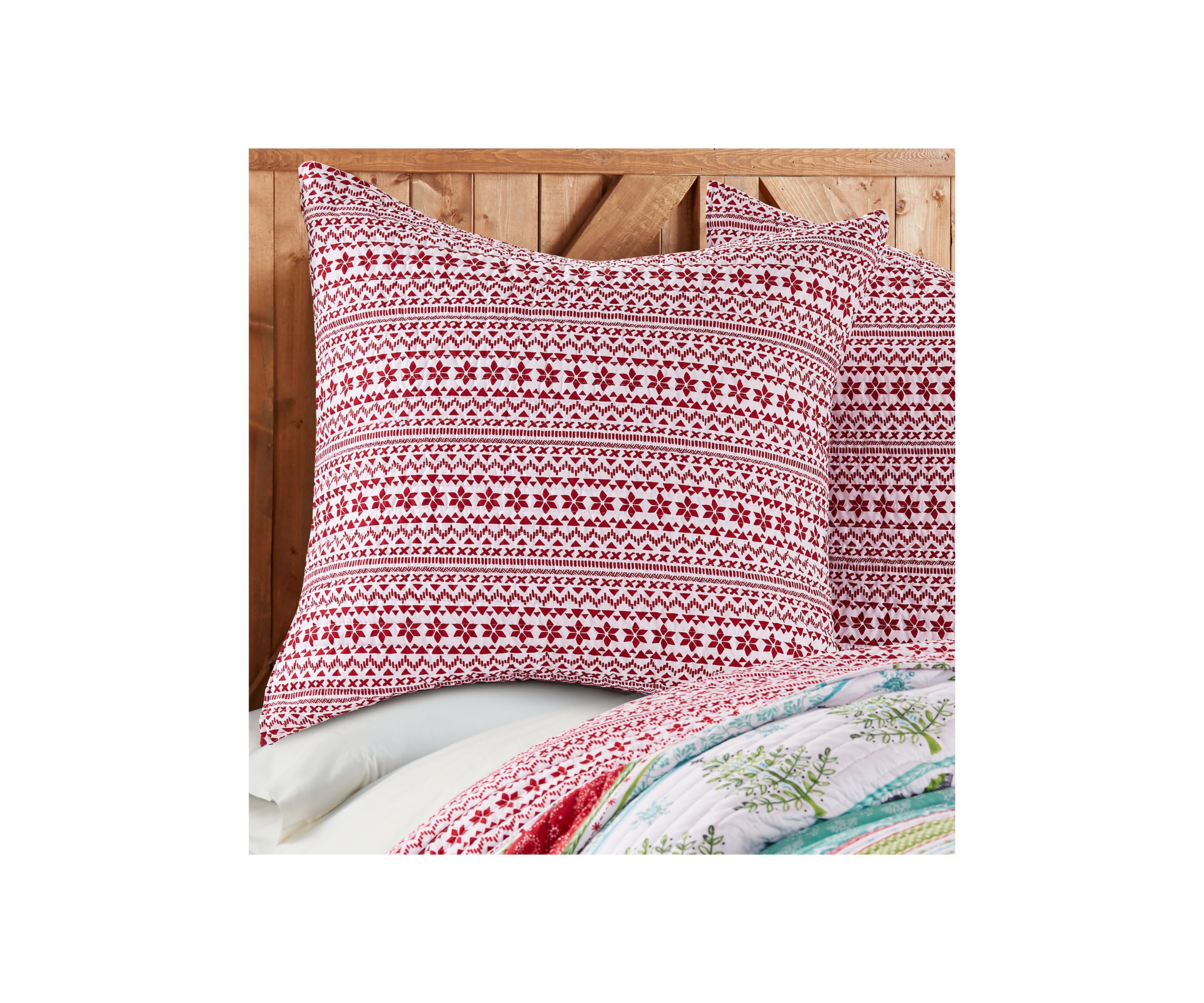 Comet & Cupid Euro Sham - Set of 2