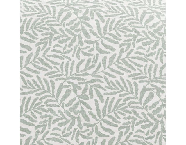 Eucalyptus