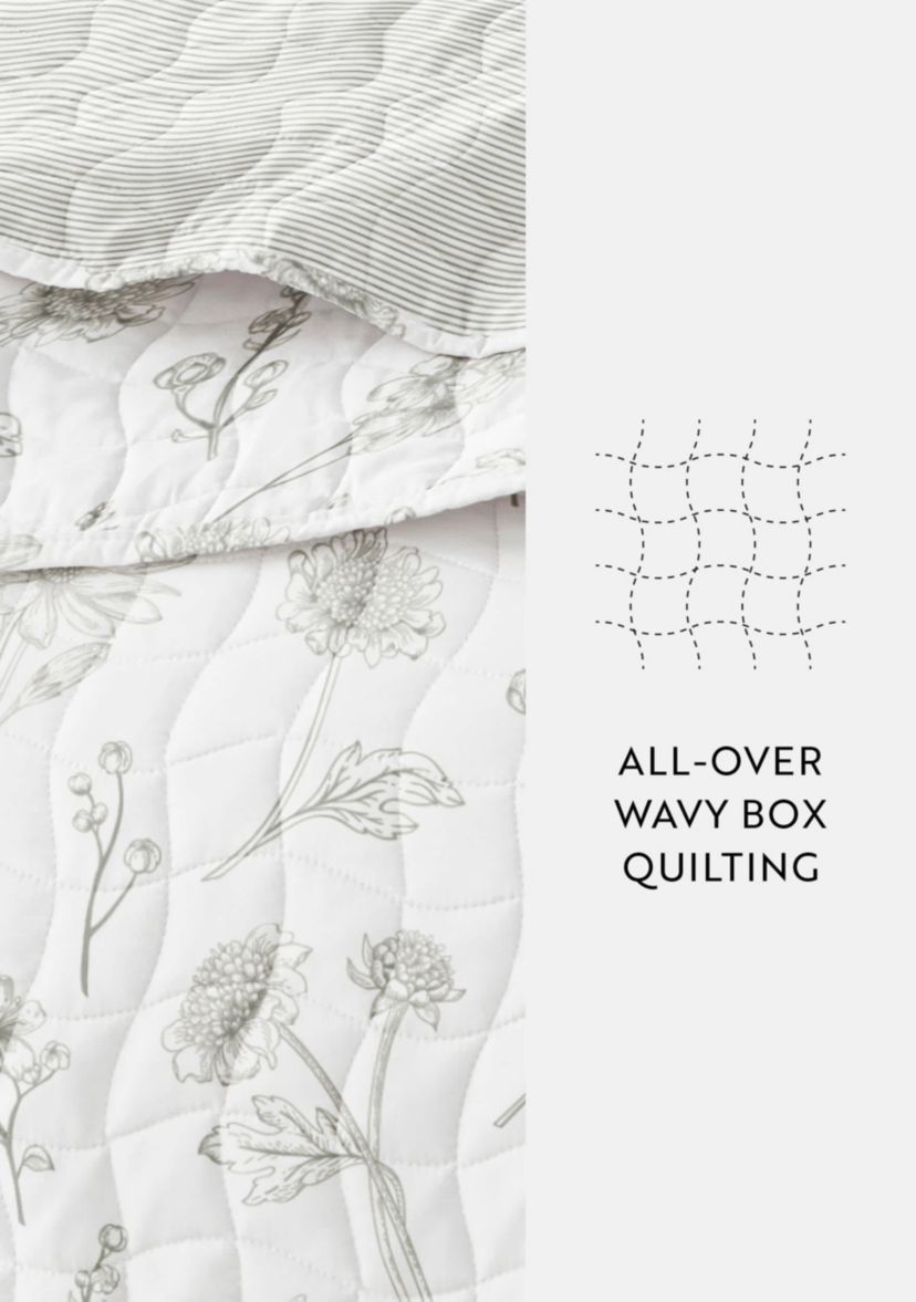Ultra Soft Microfiber Reversible Blooming Daisy All Season Quilt Set with Shams