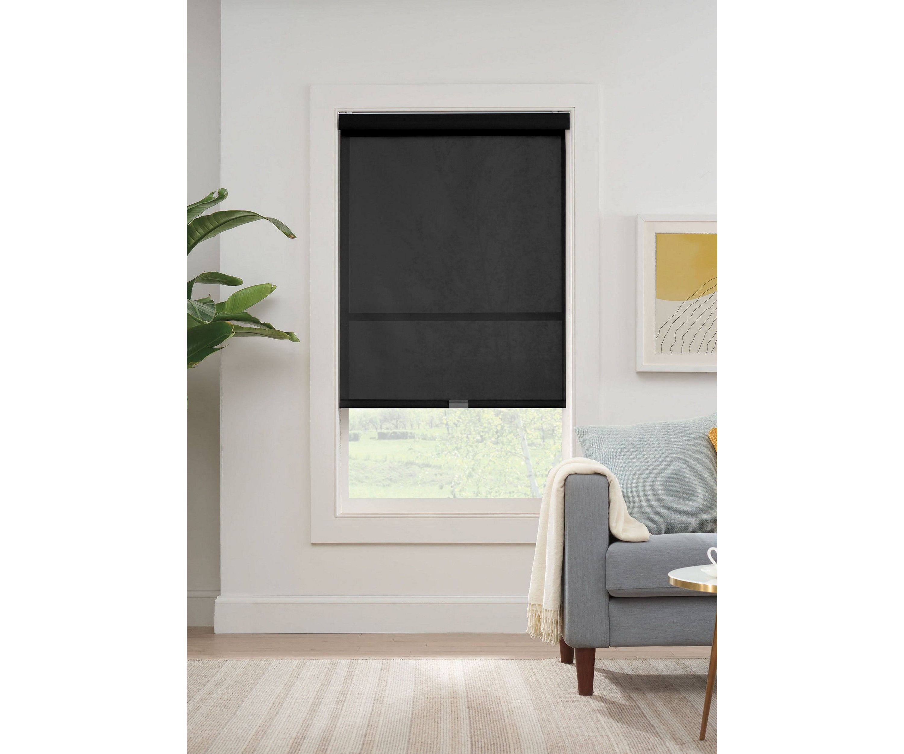 Solar Cordless Light Filtering Privacy Roller Shade 36-in. Width