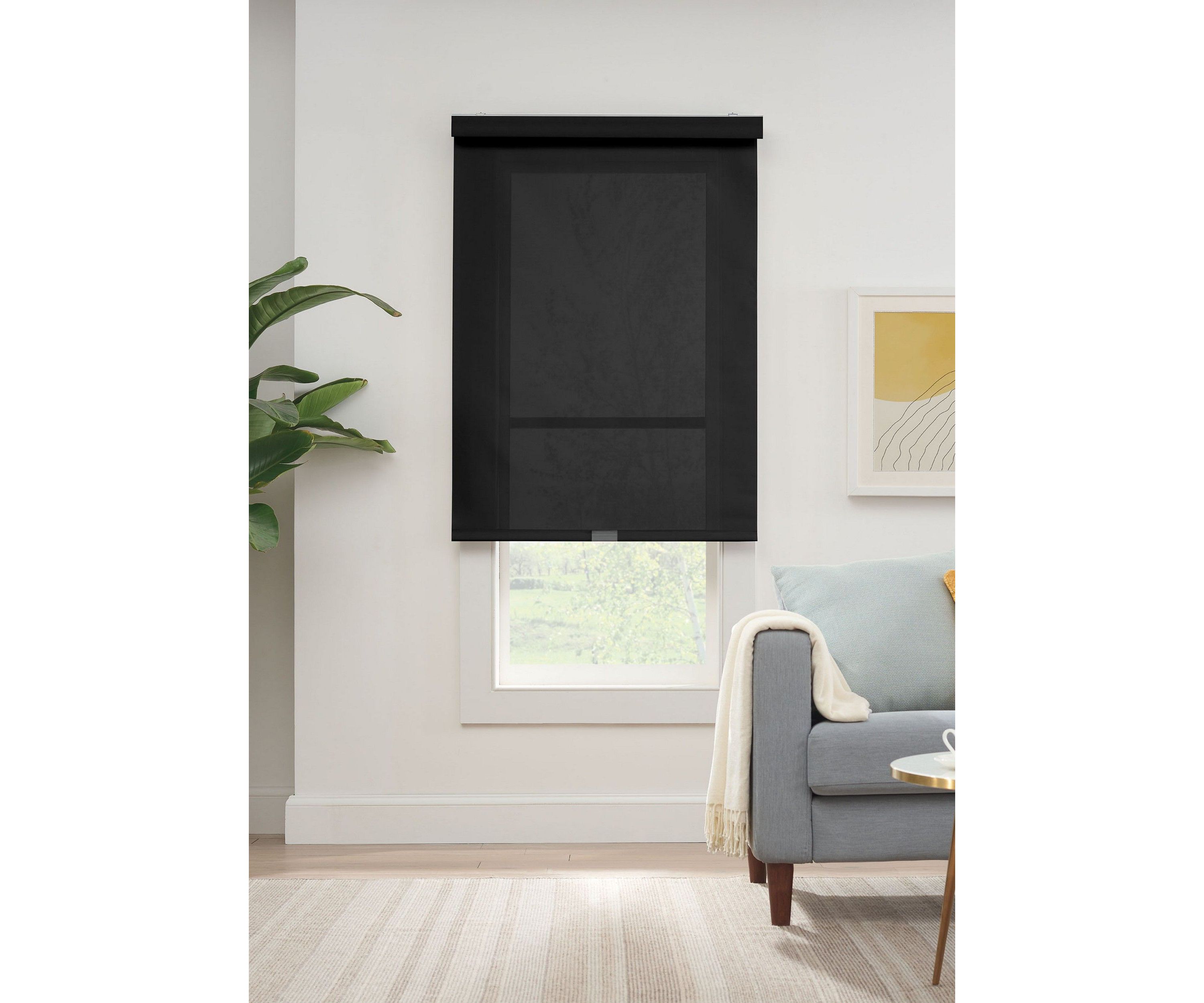 Solar Cordless Light Filtering Privacy Roller Shade 36-in. Width