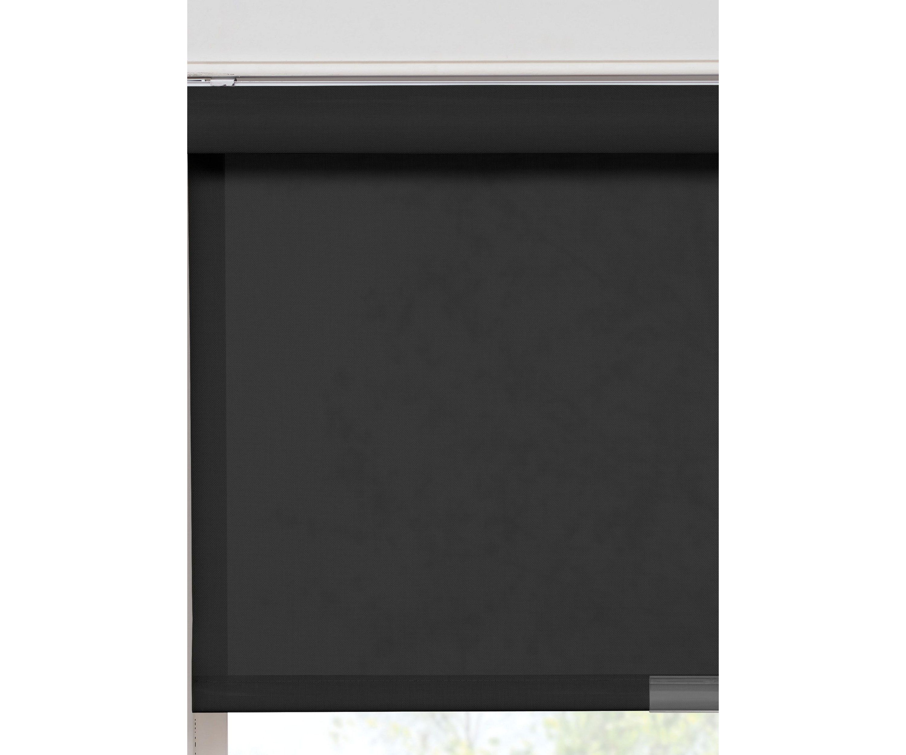 Solar Cordless Light Filtering Privacy Roller Shade 36-in. Width