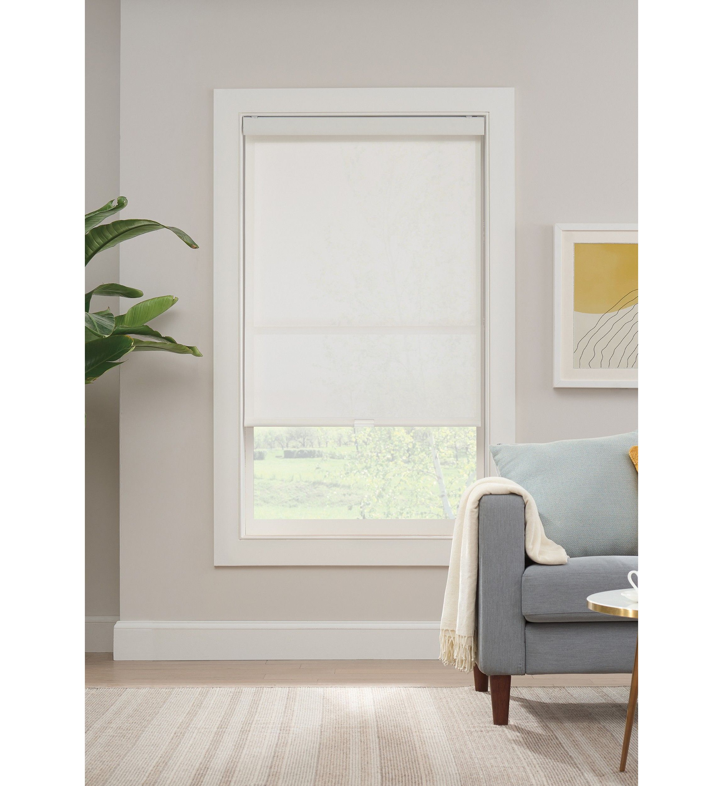 Solar Cordless Light Filtering Privacy Roller Shade 45-in. Width