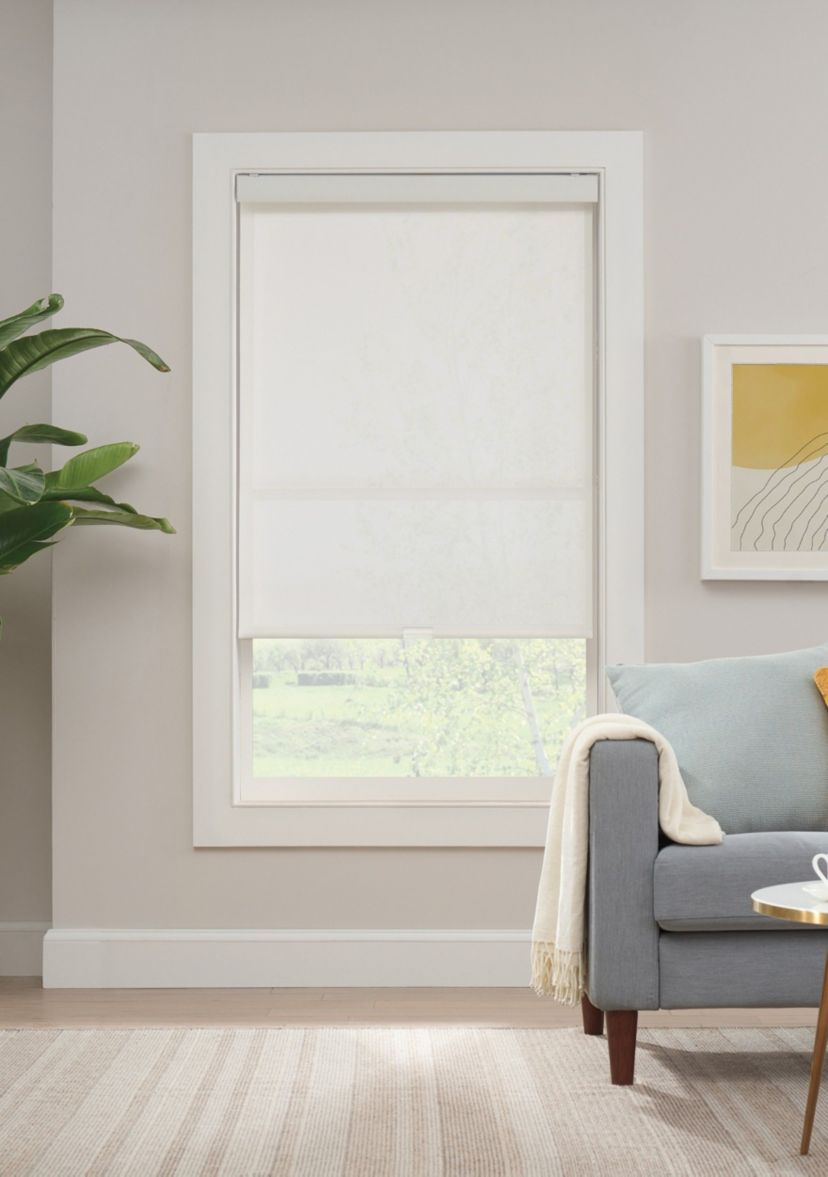 Solar Cordless Light Filtering Privacy Roller Shade 45-in. Width