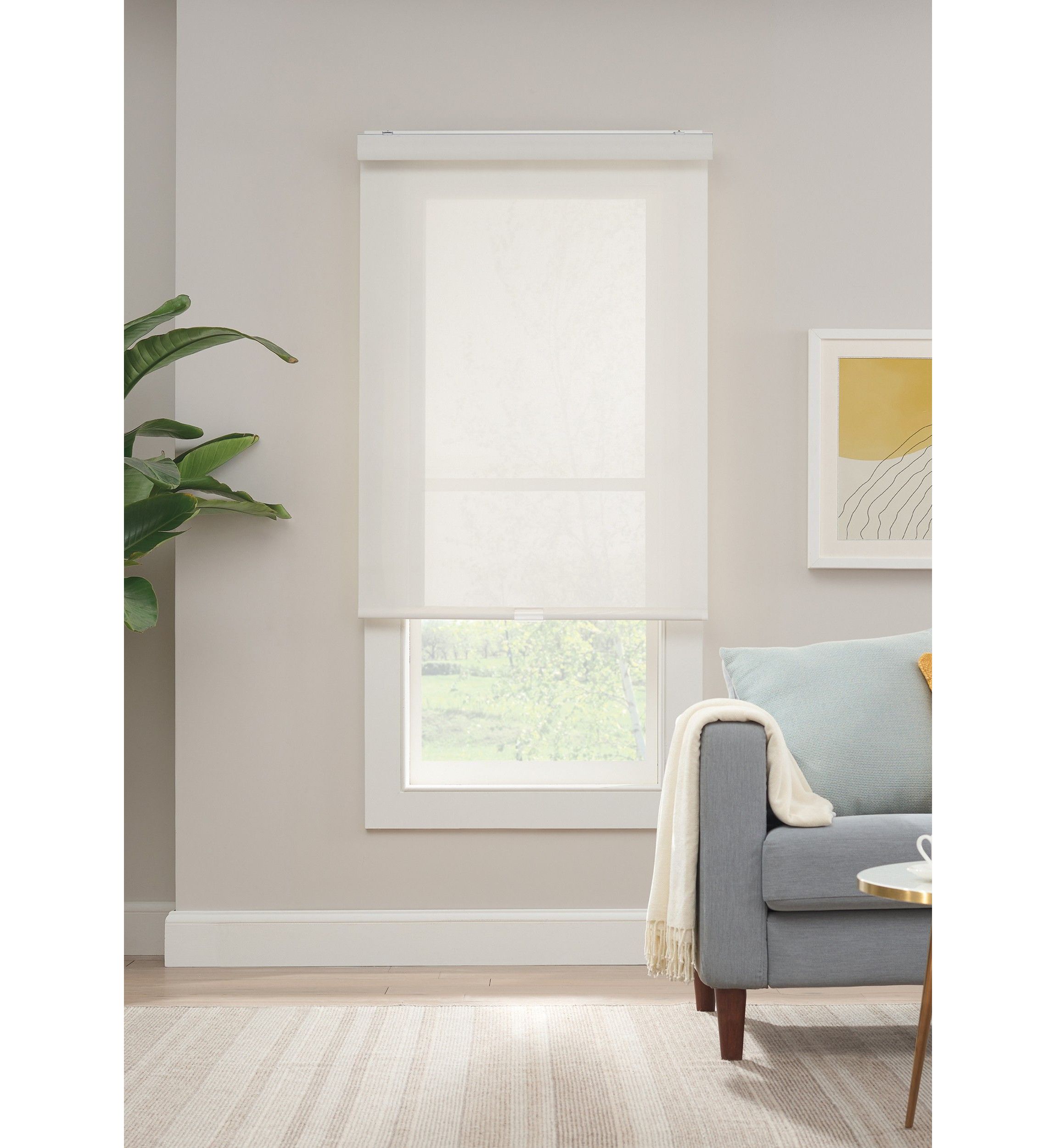 Solar Cordless Light Filtering Privacy Roller Shade 45-in. Width