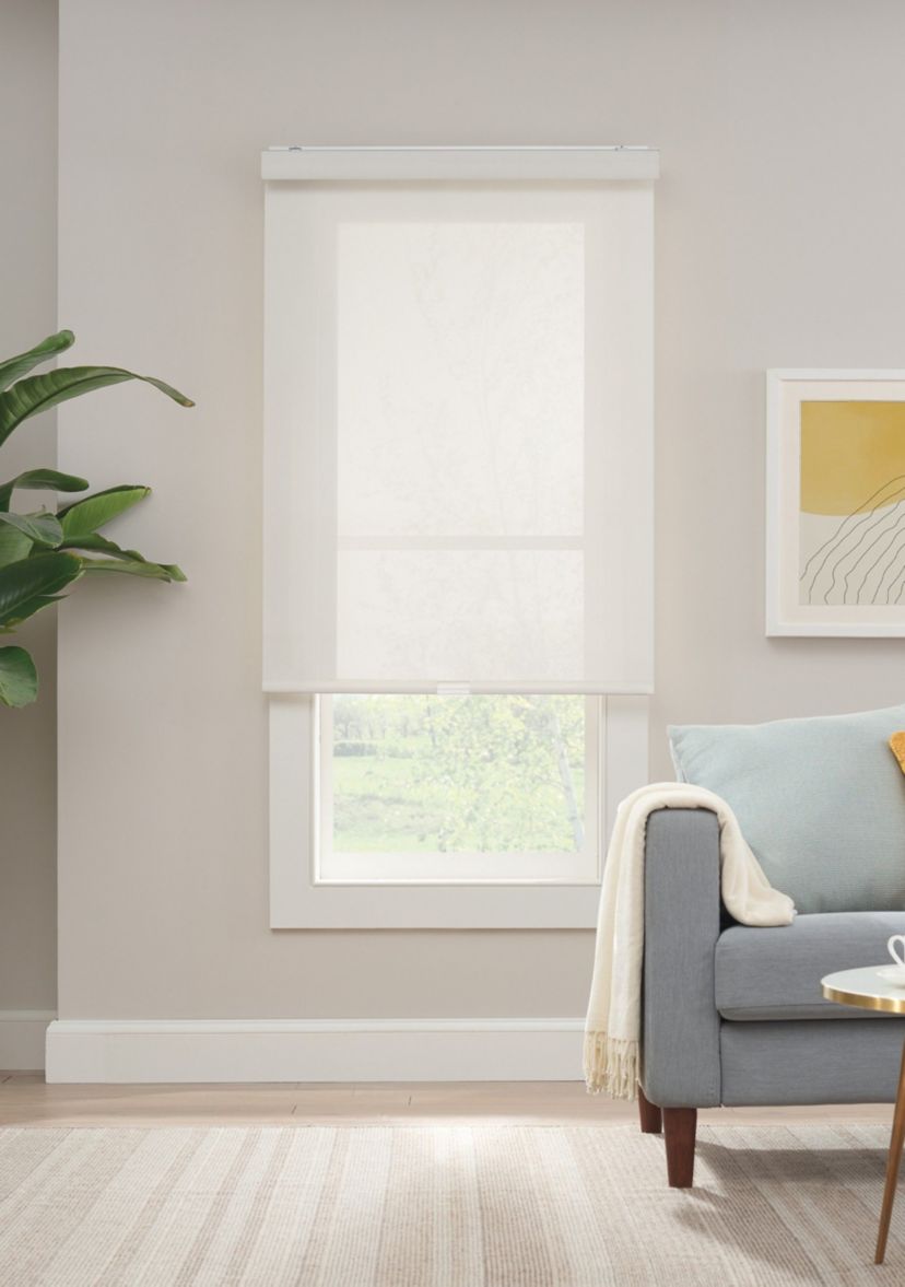 Solar Cordless Light Filtering Privacy Roller Shade 45-in. Width