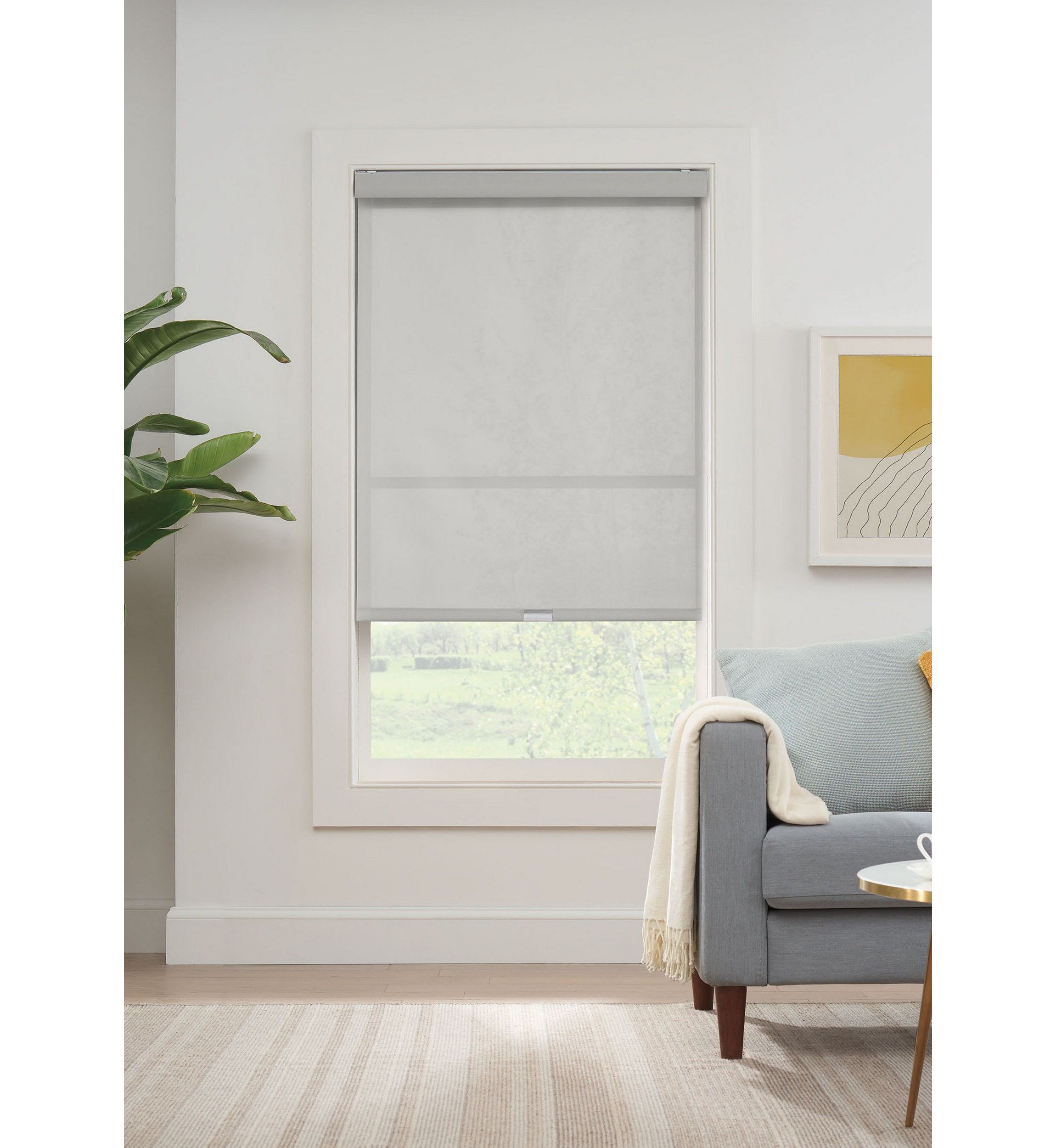 Solar Cordless Light Filtering Privacy Roller Shade 48-in. Width