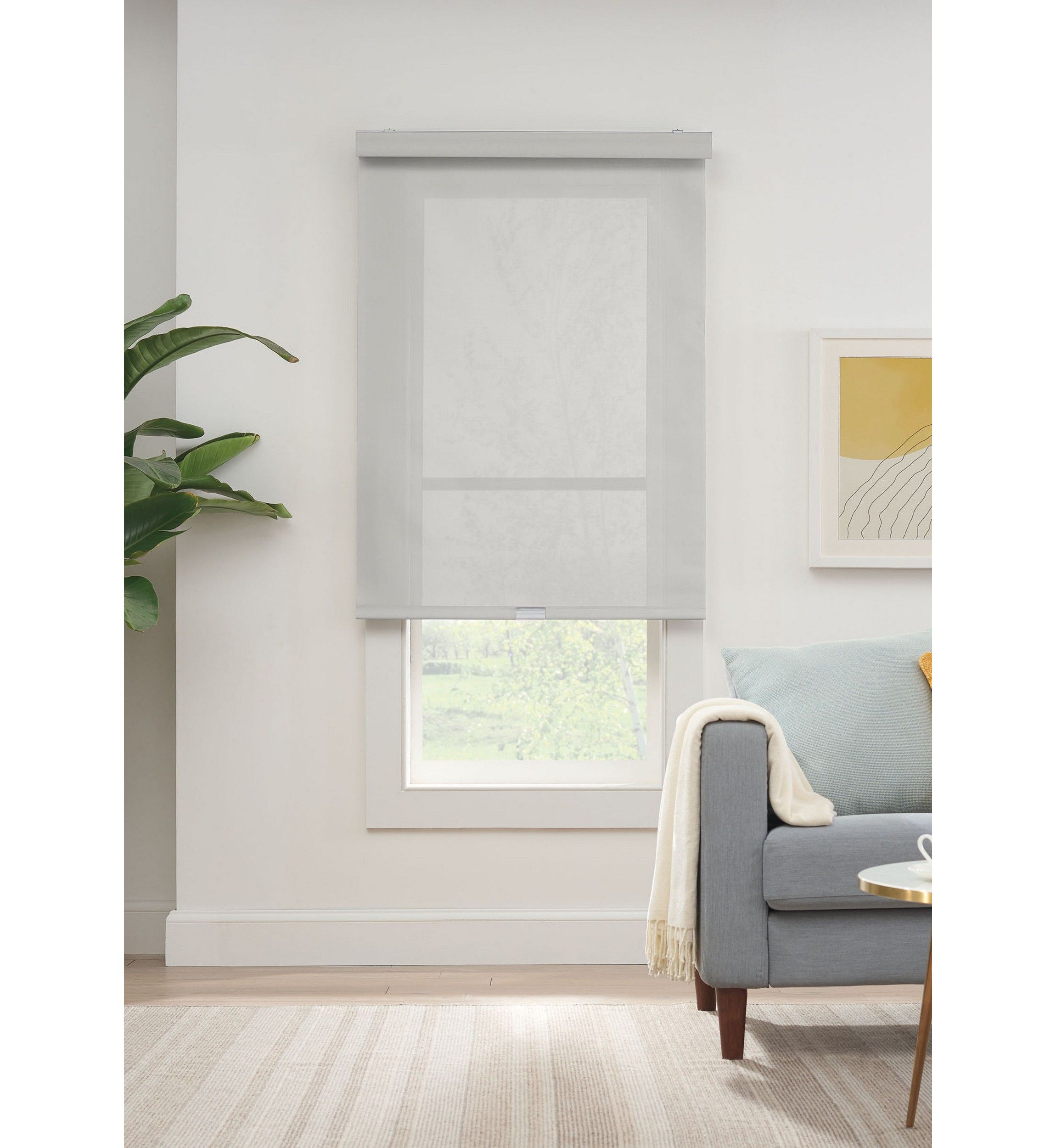 Solar Cordless Light Filtering Privacy Roller Shade 48-in. Width