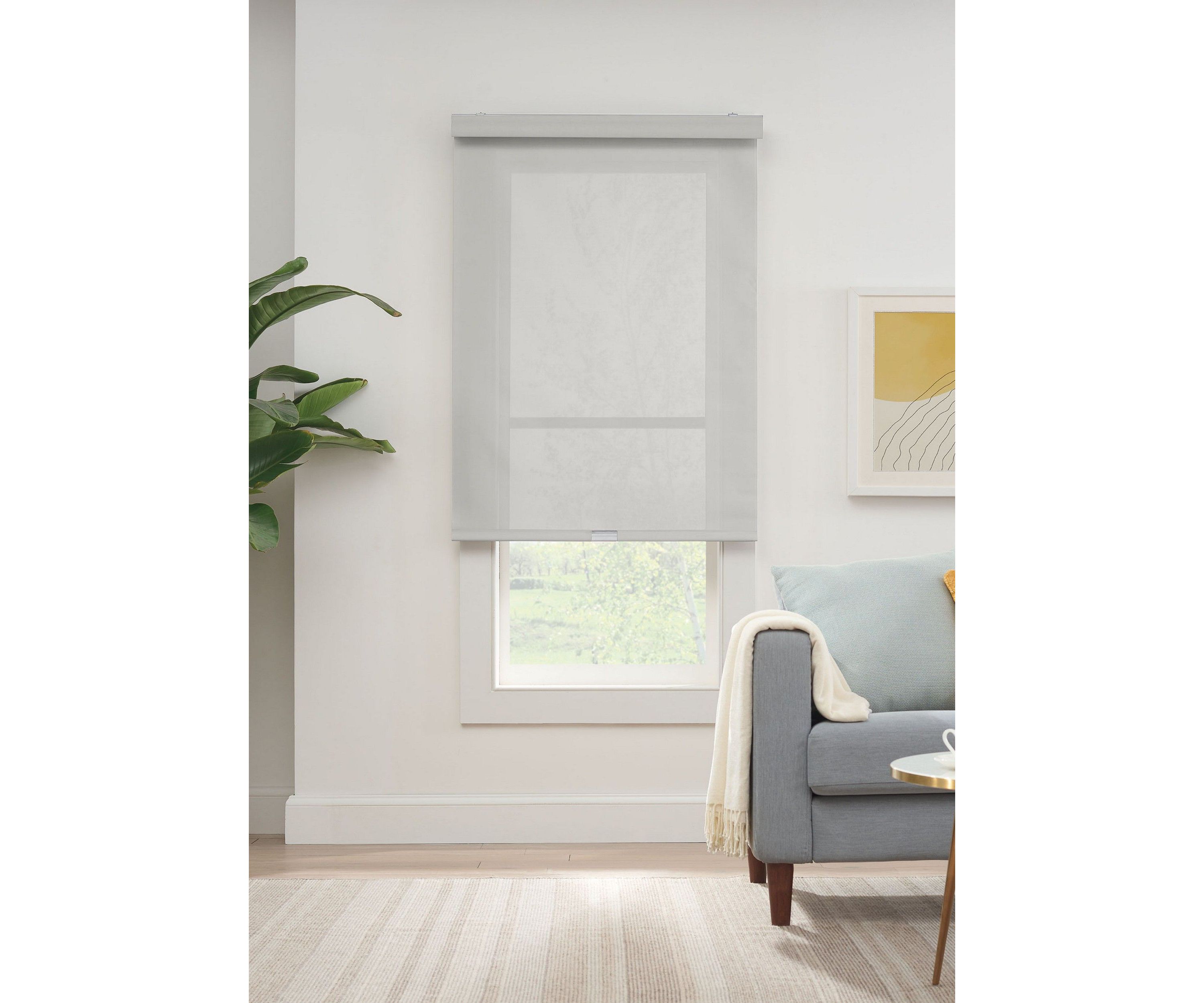 Solar Cordless Light Filtering Privacy Roller Shade 48-in. Width