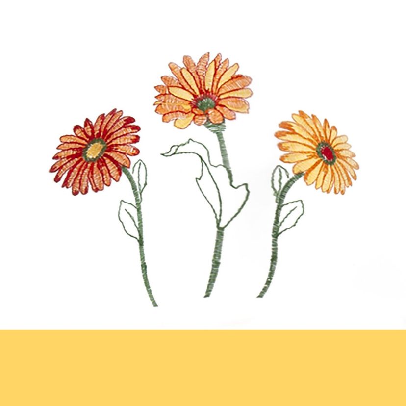 Gerbera Daisy Embellished Cottage Window Curtain Set