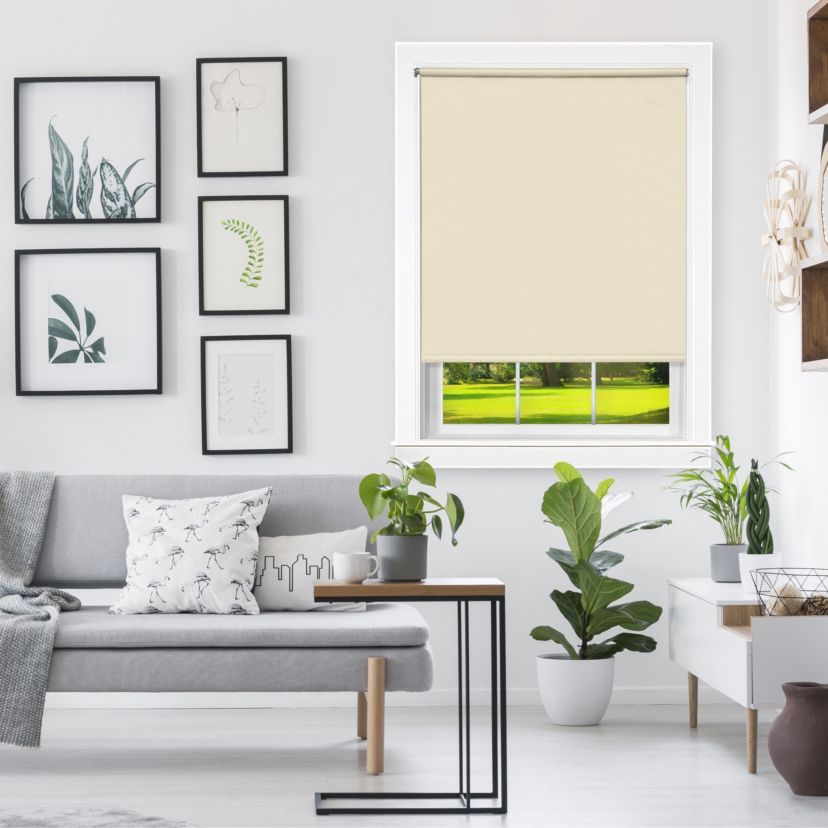 Cords Free Tear Down Light Filtering Window Shade