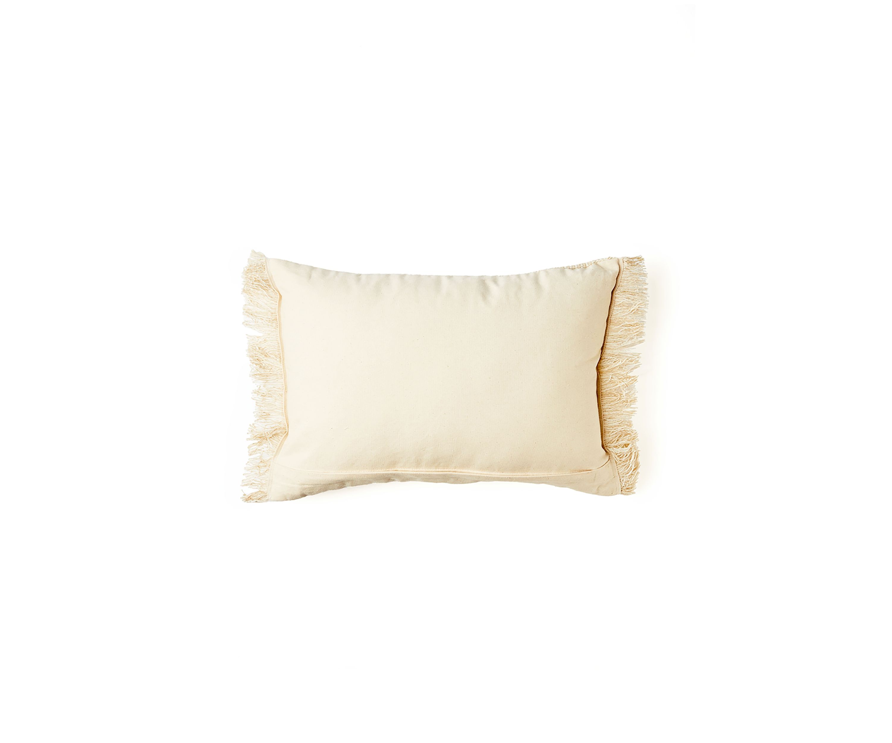 Fringe Pillow