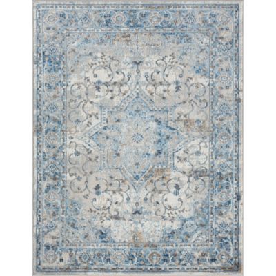 Frances Medallion Woven Area Rug