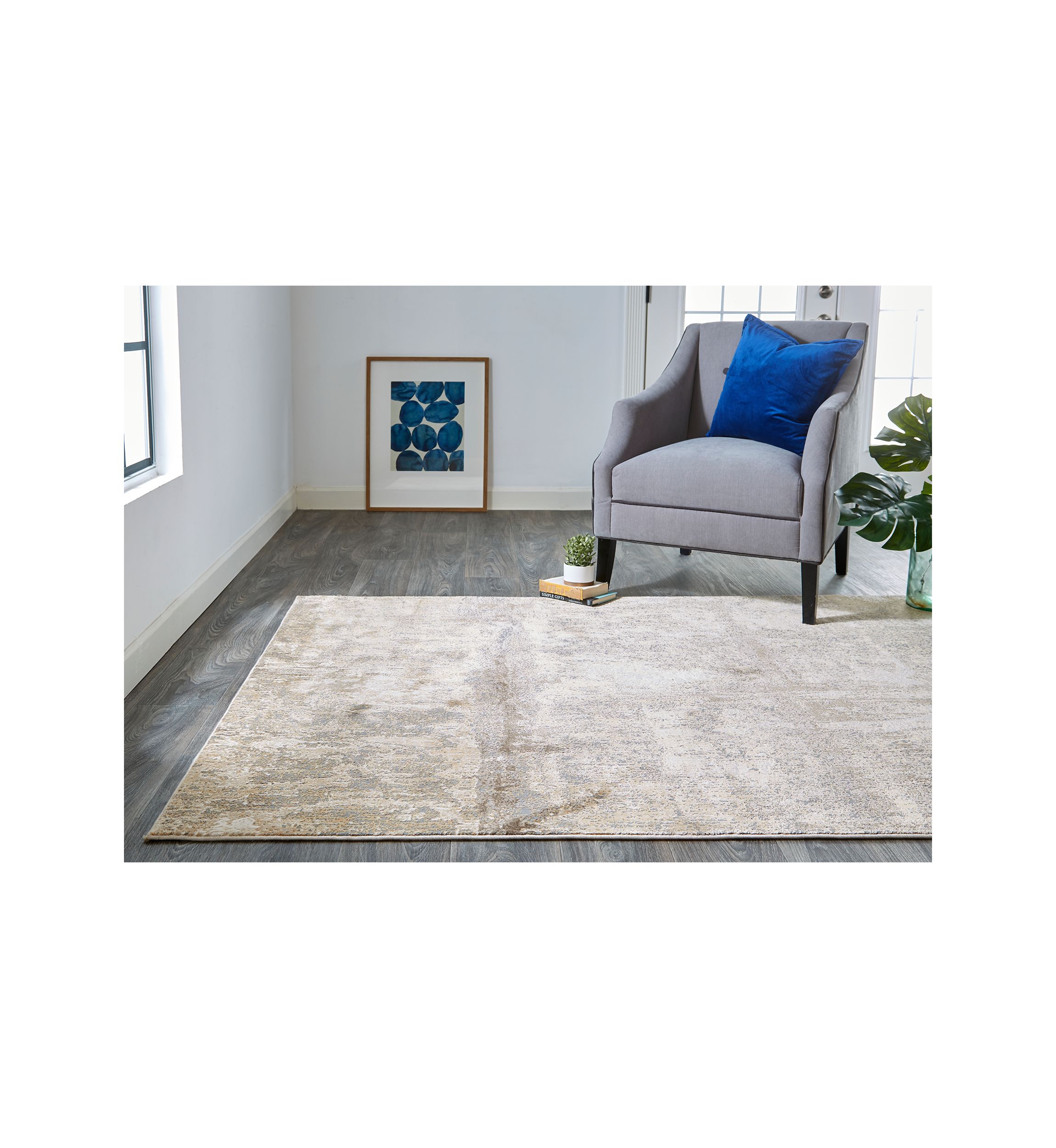 Transitional Abstract Area Rug