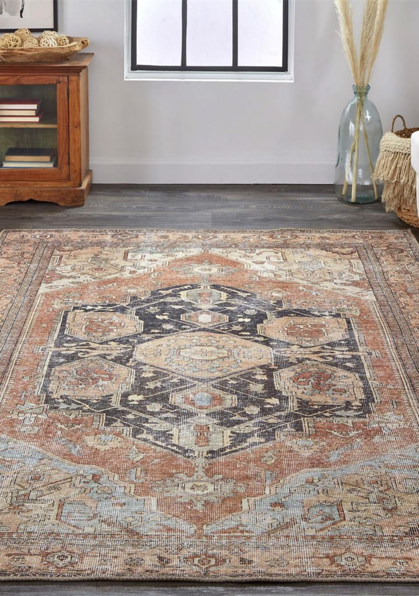 Prescott Transitional Medallion Area Rug
