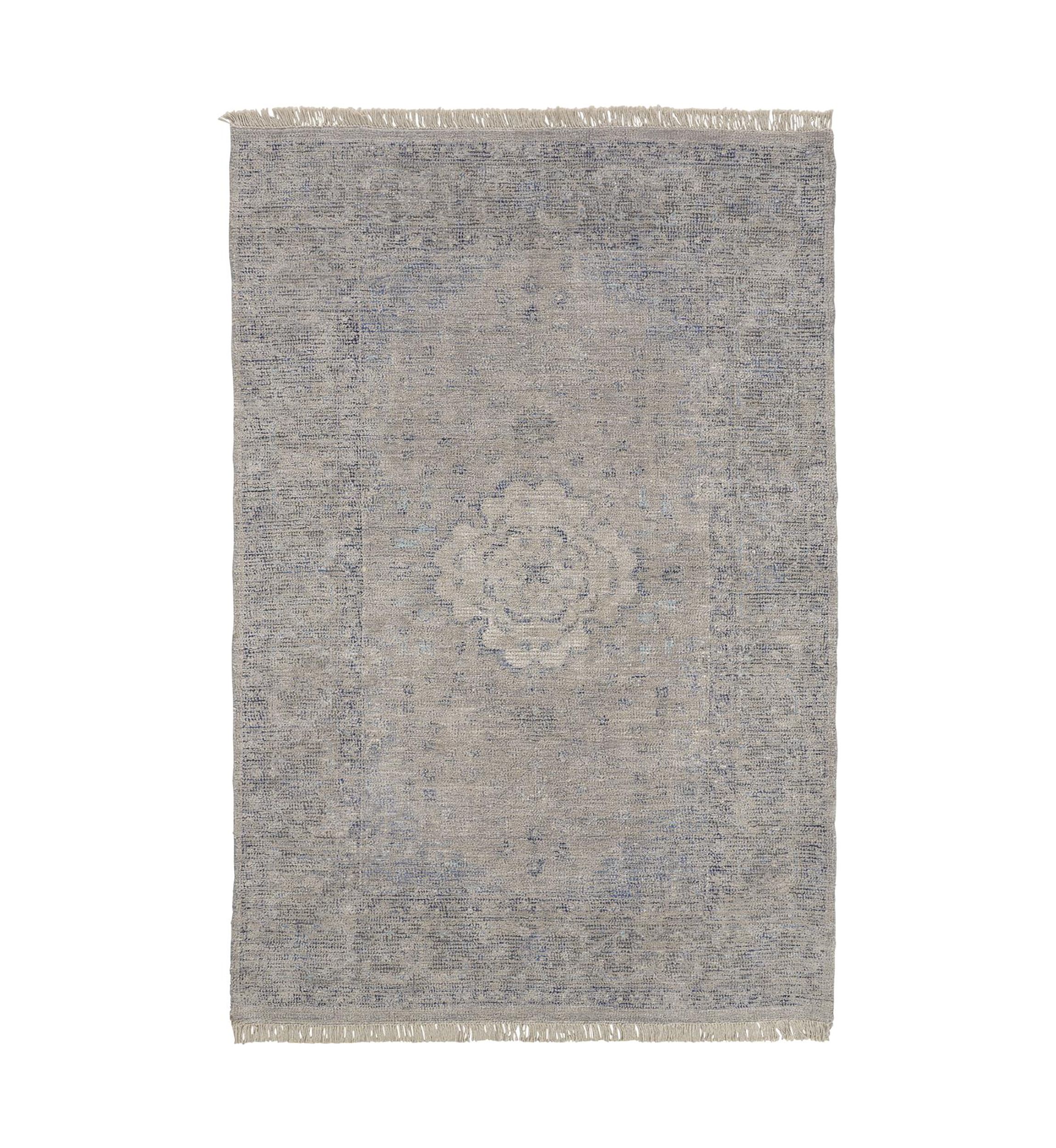 Ramey Transitional Medallion Area Rug