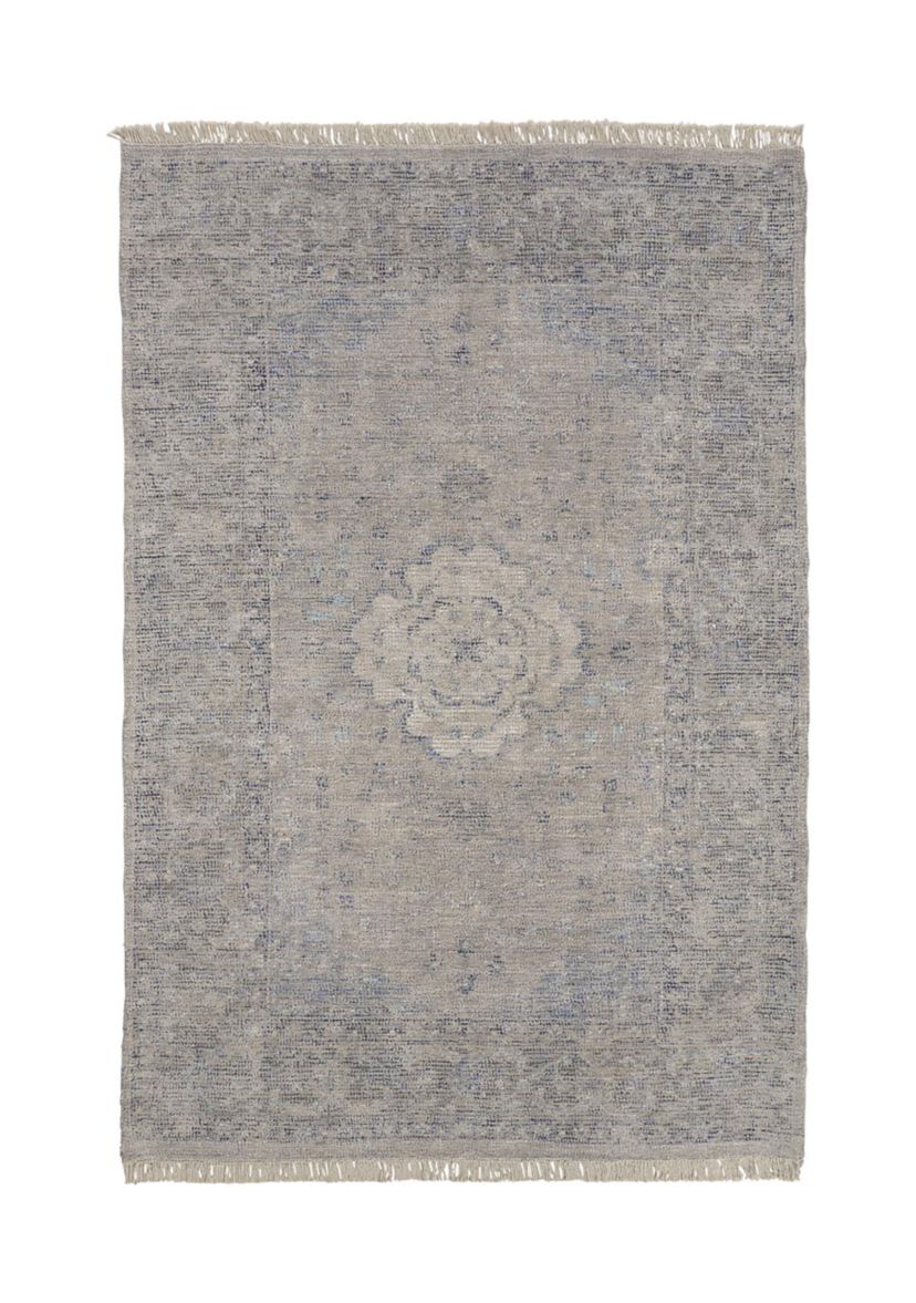 Ramey Transitional Medallion Area Rug