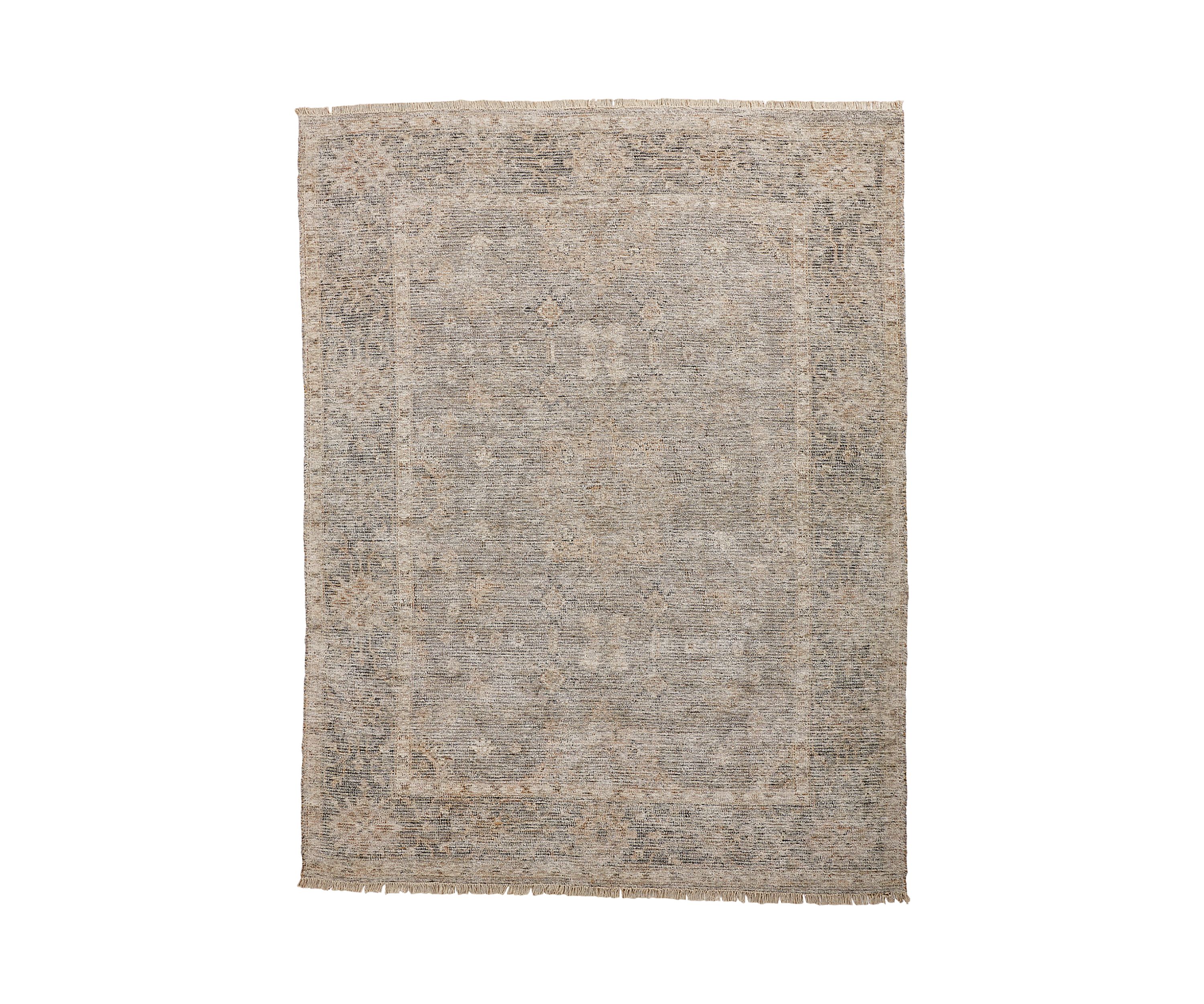 Ramey Transitional Oriental Area Rug