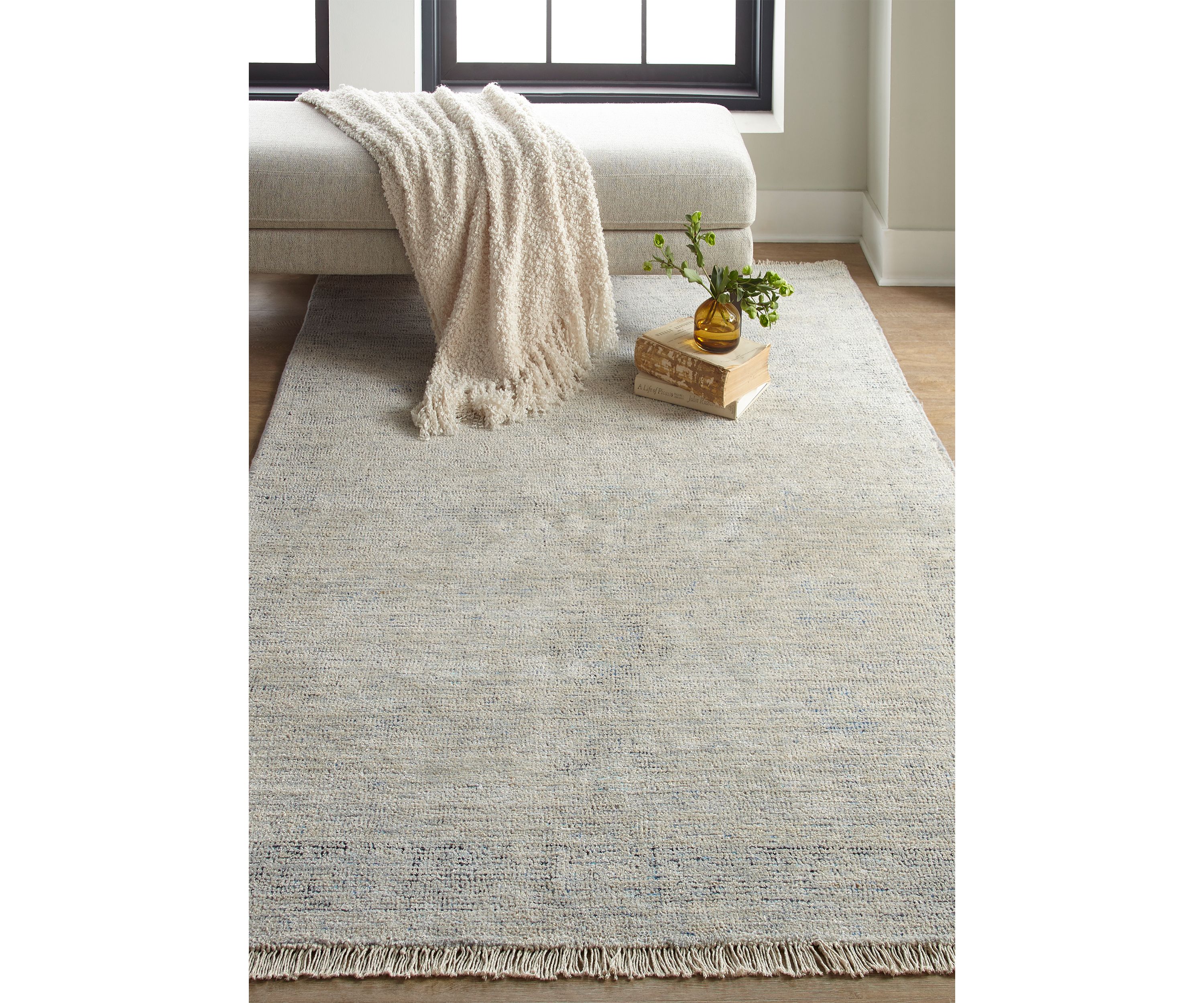 Ramey Transitional Distressed Area Rug