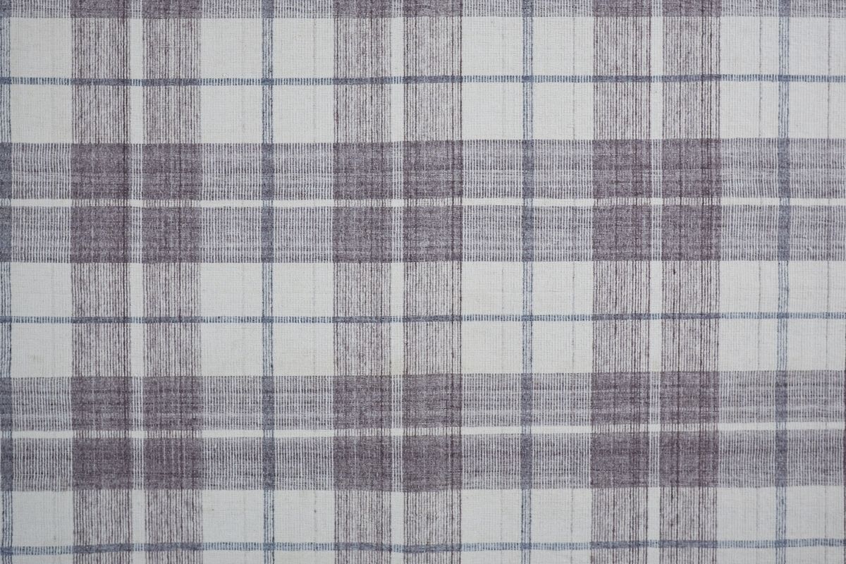 Jens Transitional Plaid Area Rug
