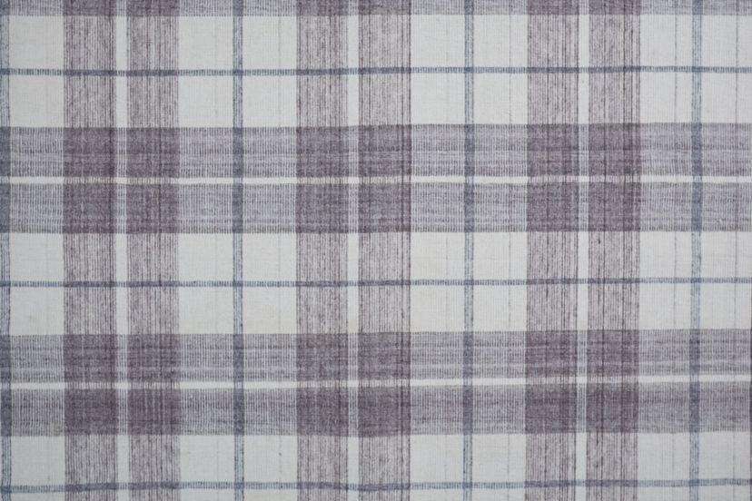 Jens Transitional Plaid Area Rug