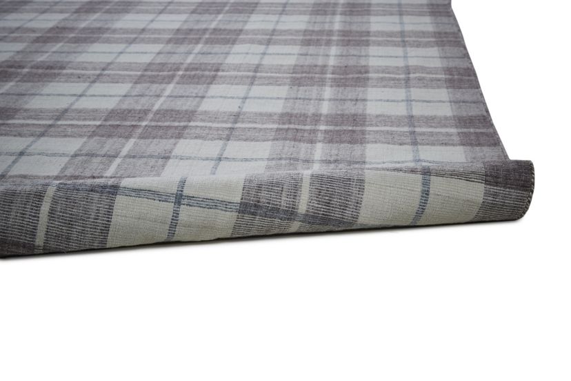 Jens Transitional Plaid Area Rug