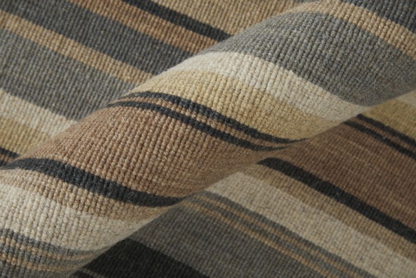 Naida Transitional Stripes Area Rug
