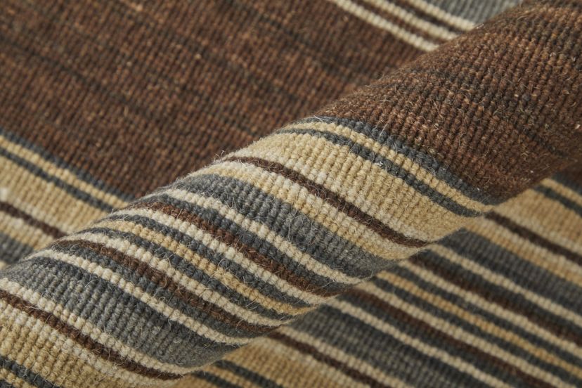 Naida Transitional Stripes Area Rug