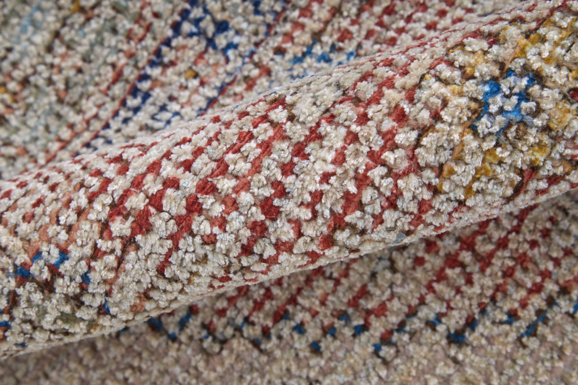 Ramey Transitional Distressed Area Rug