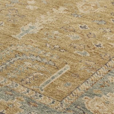 Irie Traditional Oriental Area Rug