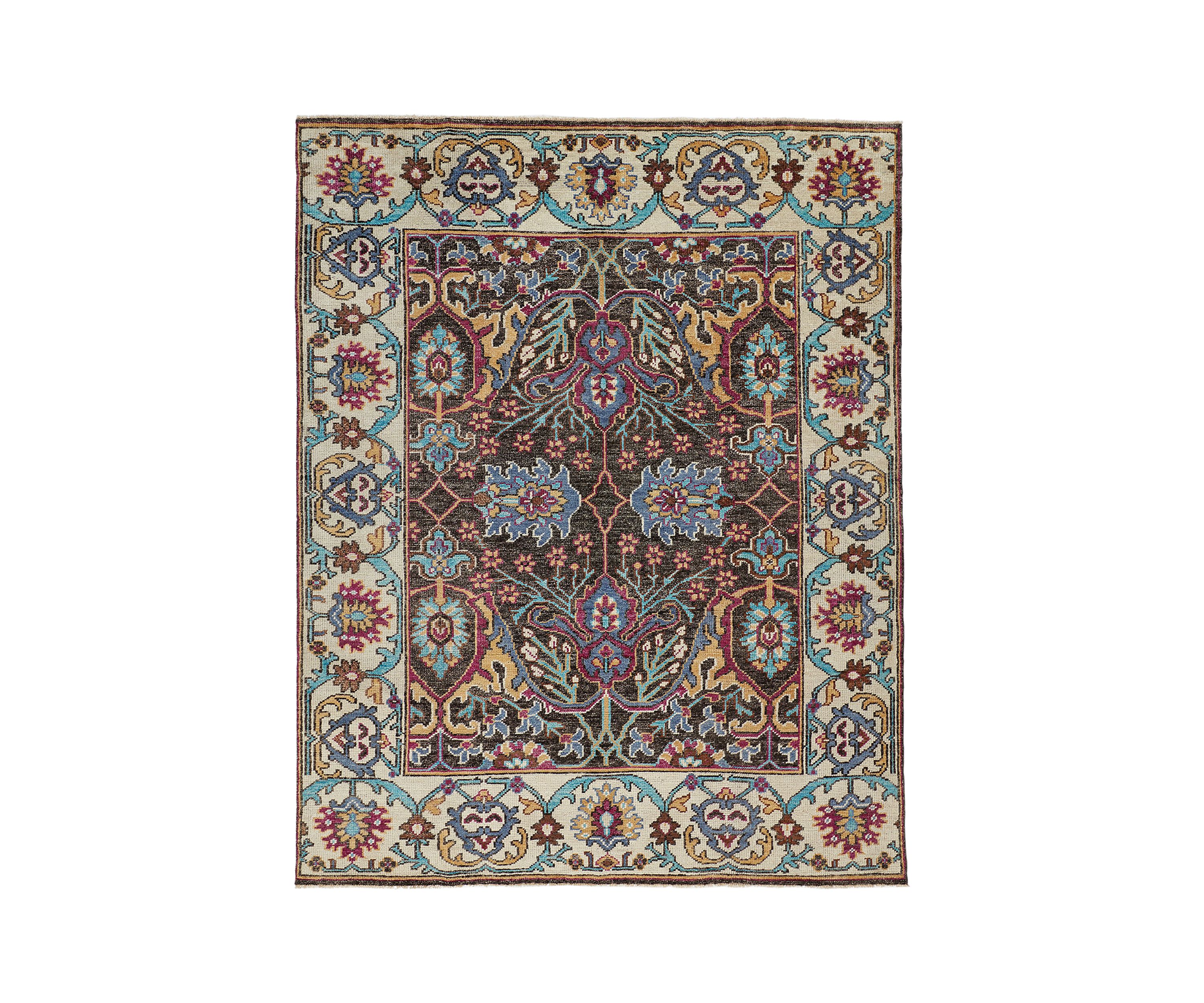 Bashyr Traditional Bordered Area Rug