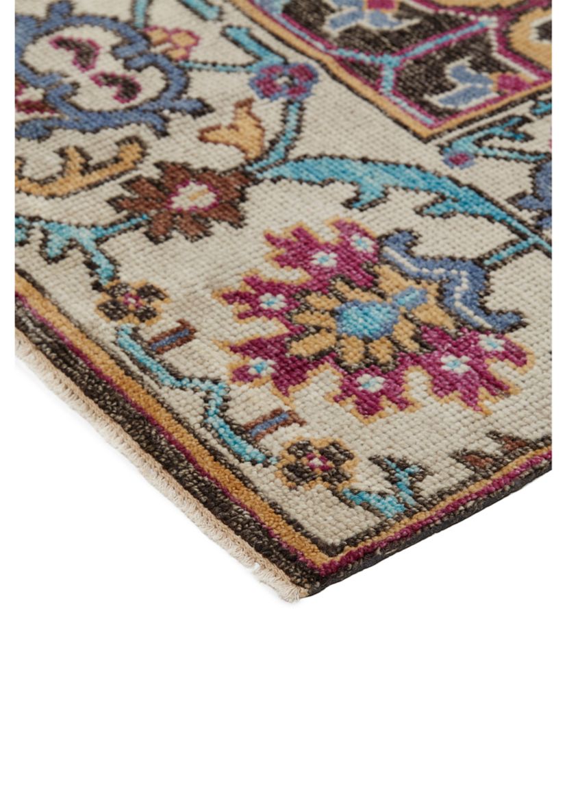 Bashyr Traditional Bordered Area Rug