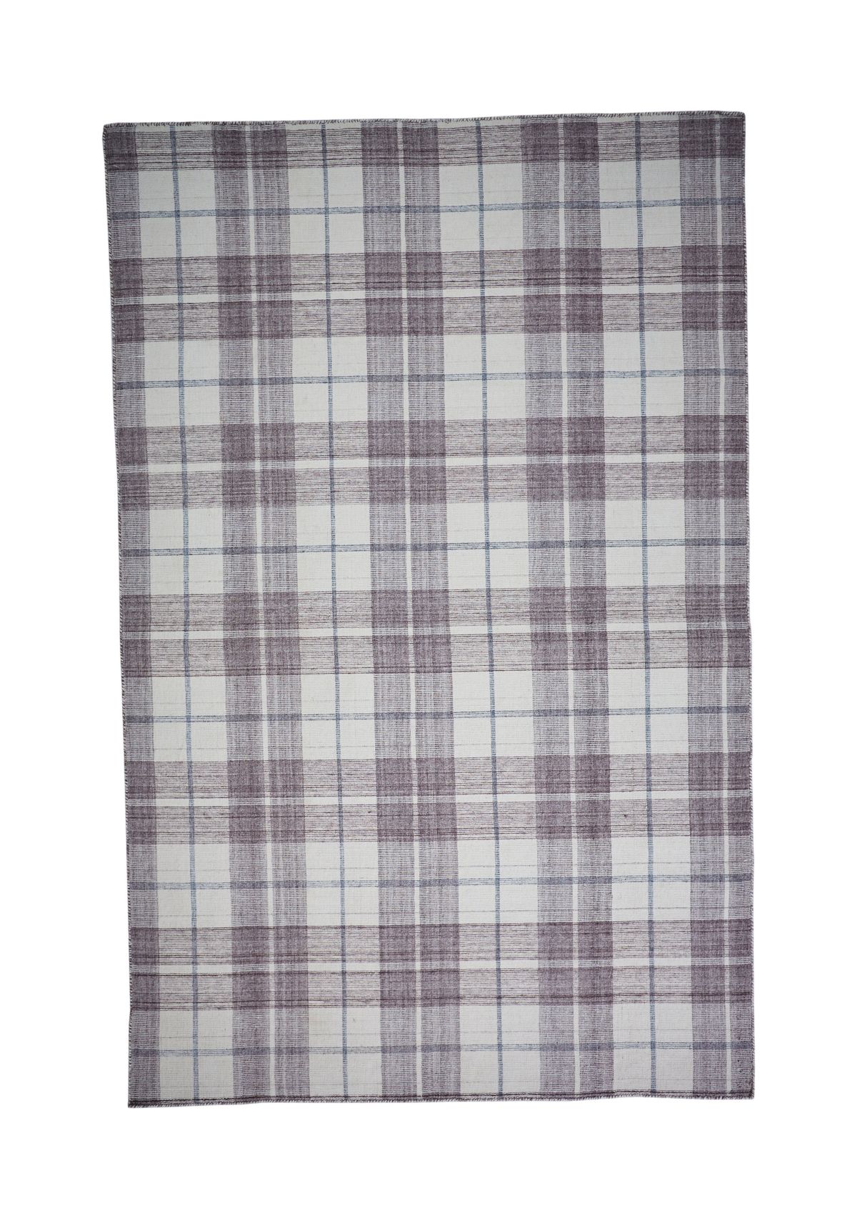Jens Transitional Plaid Area Rug