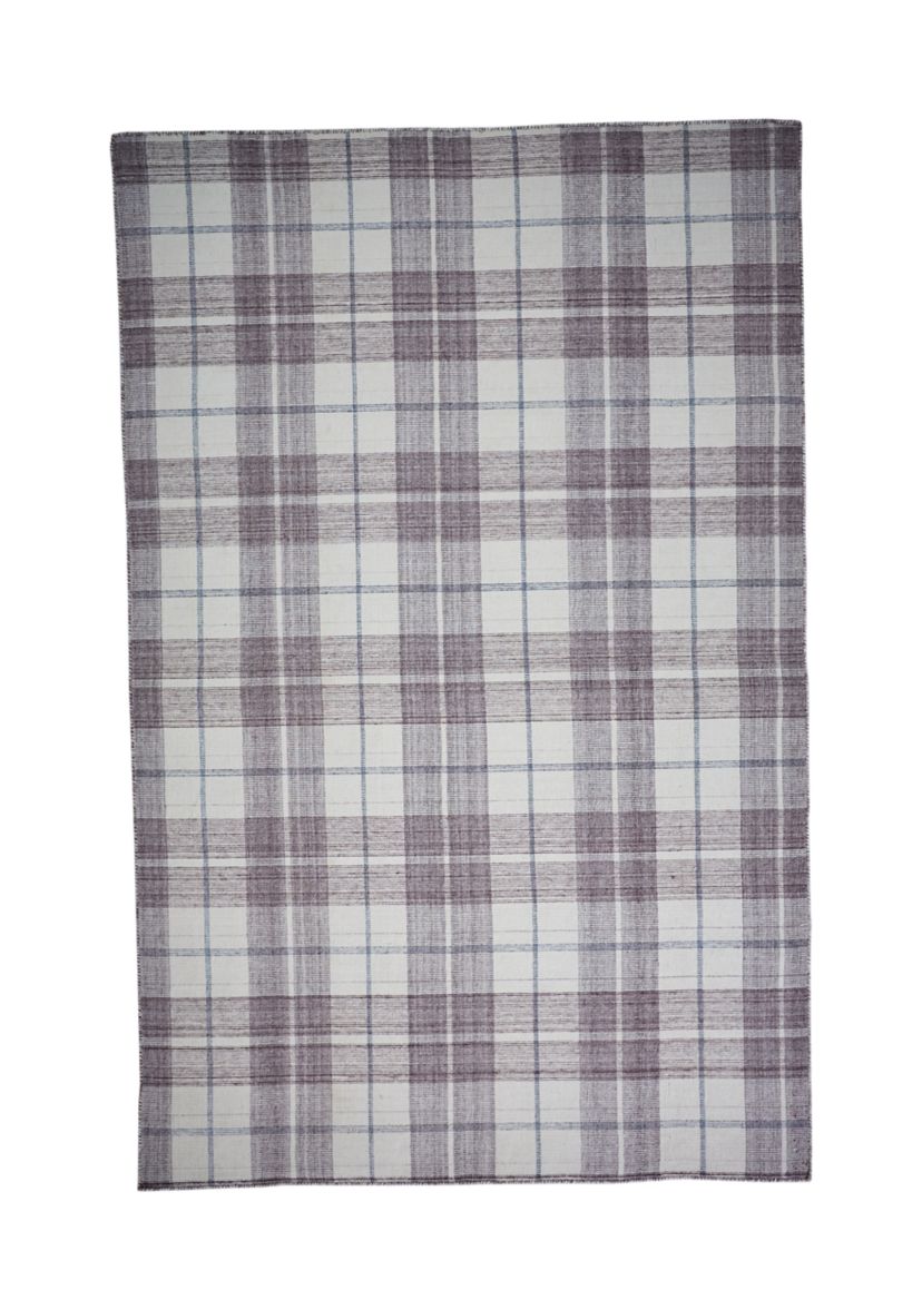 Jens Transitional Plaid Area Rug