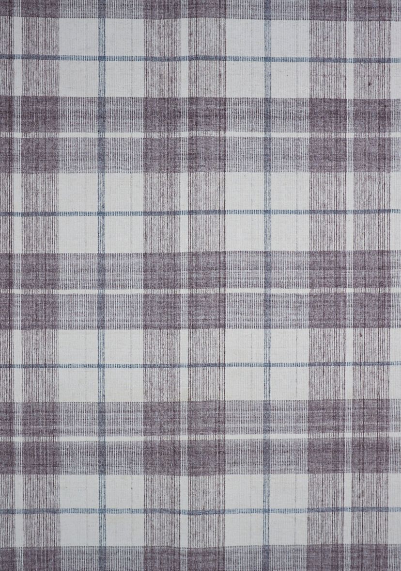 Jens Transitional Plaid Area Rug