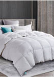 White Goose Down and Feather Comforter