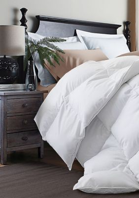 Blue Ridge Home Fashions 240 Thread Count White Goose Down And
