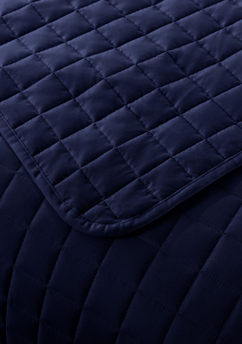 Velvet Trim Down Alternative Blanket