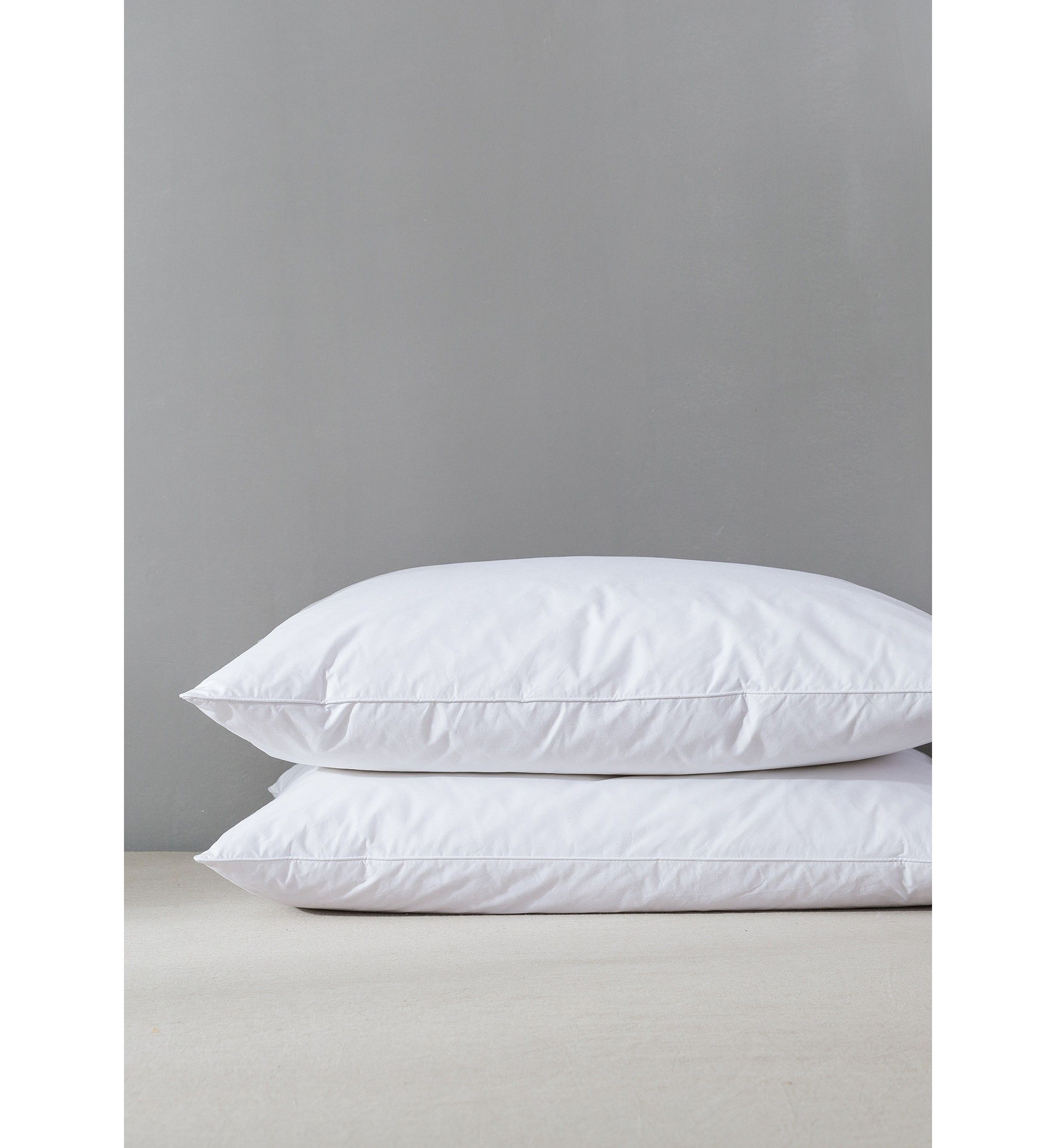 Twin Pack White Goose Feather and Down Blend Pillow