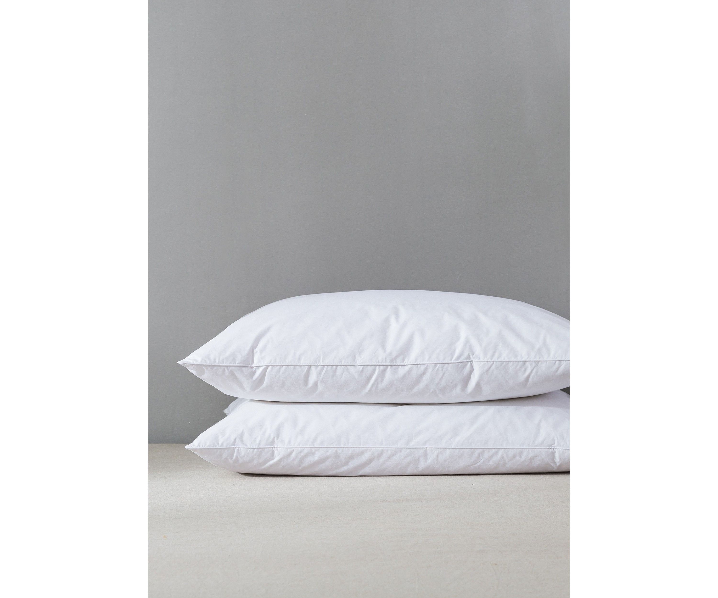 Twin Pack White Goose Feather and Down Blend Pillow